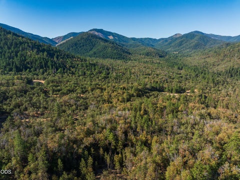 Tiny photo for 2659 Foots Creek L Fork Road, Gold Hill, OR 97525 (MLS # 220225353)