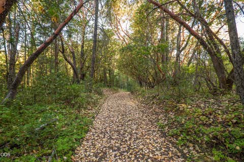 Tiny photo for 2659 Foots Creek L Fork Road, Gold Hill, OR 97525 (MLS # 220225353)