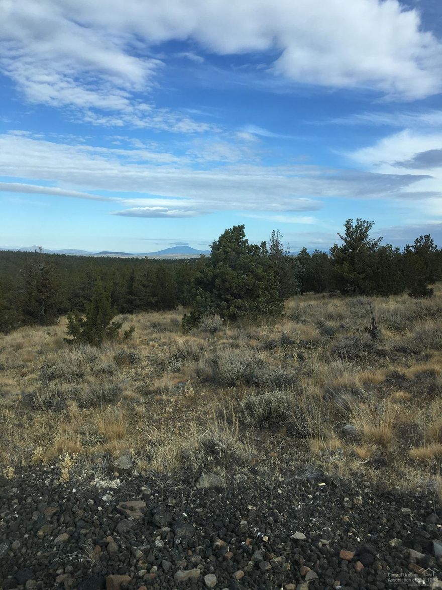 10 Acres off grid with great Cascade Mountain Views, has a shed shell. Fronts to BLM. Gently sloped. Great get away. Buy to due diligence on lot lines.