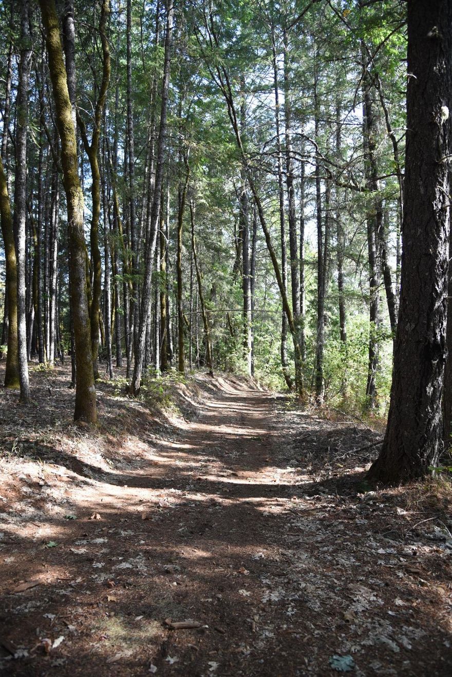 5 amazing acres with water rights certificate on the Illinois River with 2 levels. The upper level is flat and heavily forested with marketable timber. The forest is well maintained and it's easy to enjoy the limbed trees and their tall canopy. The property rolls down the hill to pasture and fewer trees right up to the bank of the Illinois River. Swimming holes and mountain views abound the riverside. This is an excellent opportunity to build your riverfront homesite. Purchase all 3 neighboring riverfront tax lots and build your Illinois River Estate. Come see all this property has to offer! Owner carry with acceptable terms from creditworthy buyers. No commercial cutting of timber under owner carry agreements.