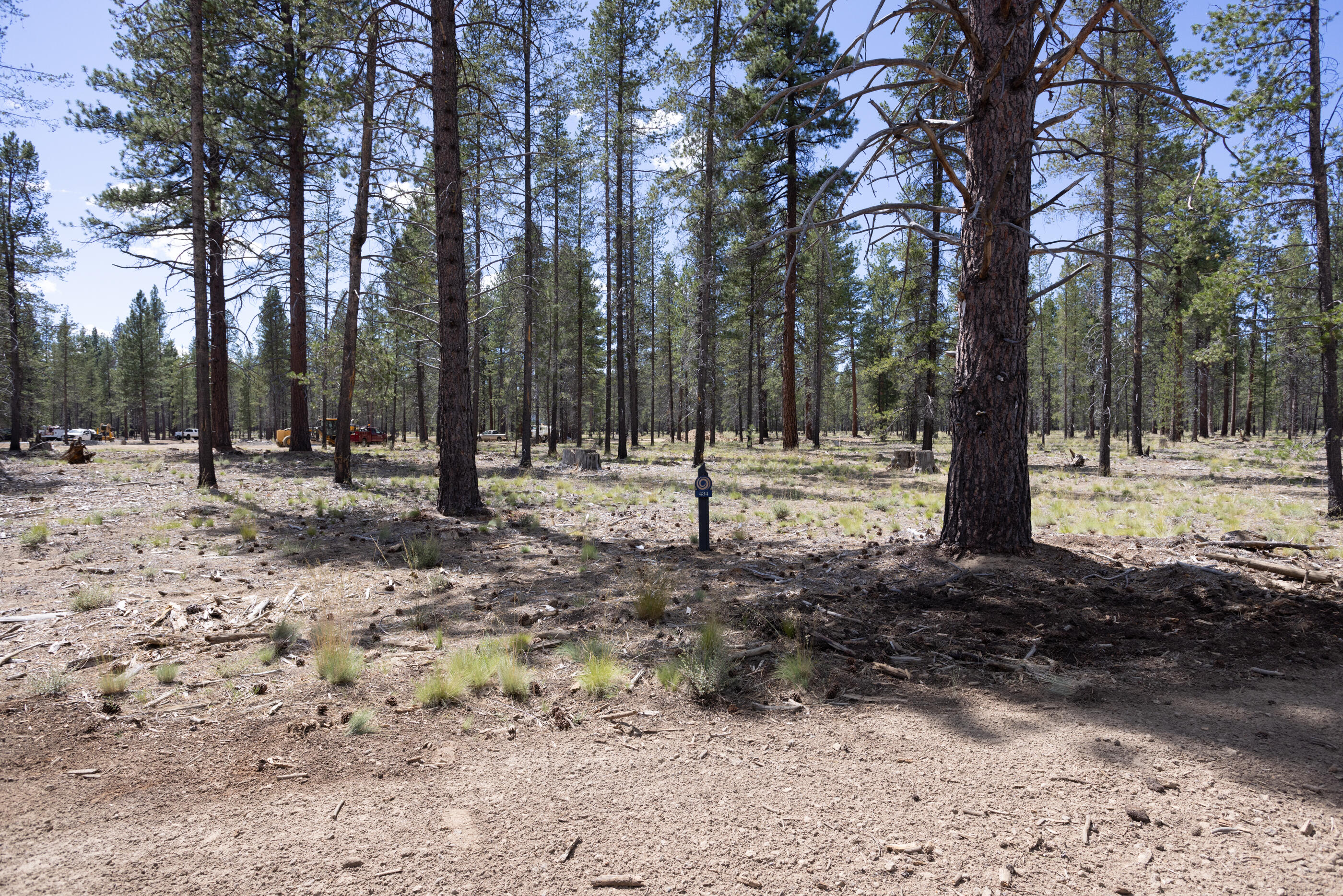 56220 Rockcress Lane 434
