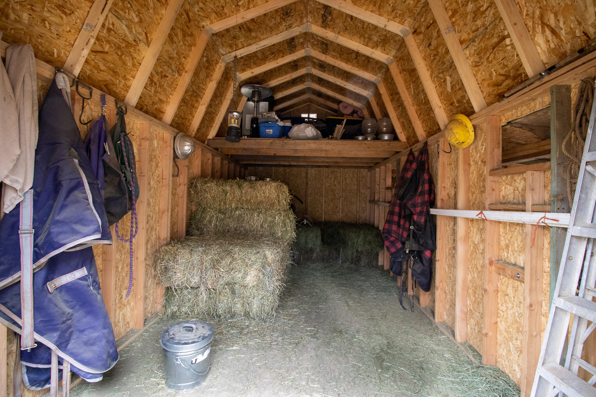 Winema Peninsula - Residential