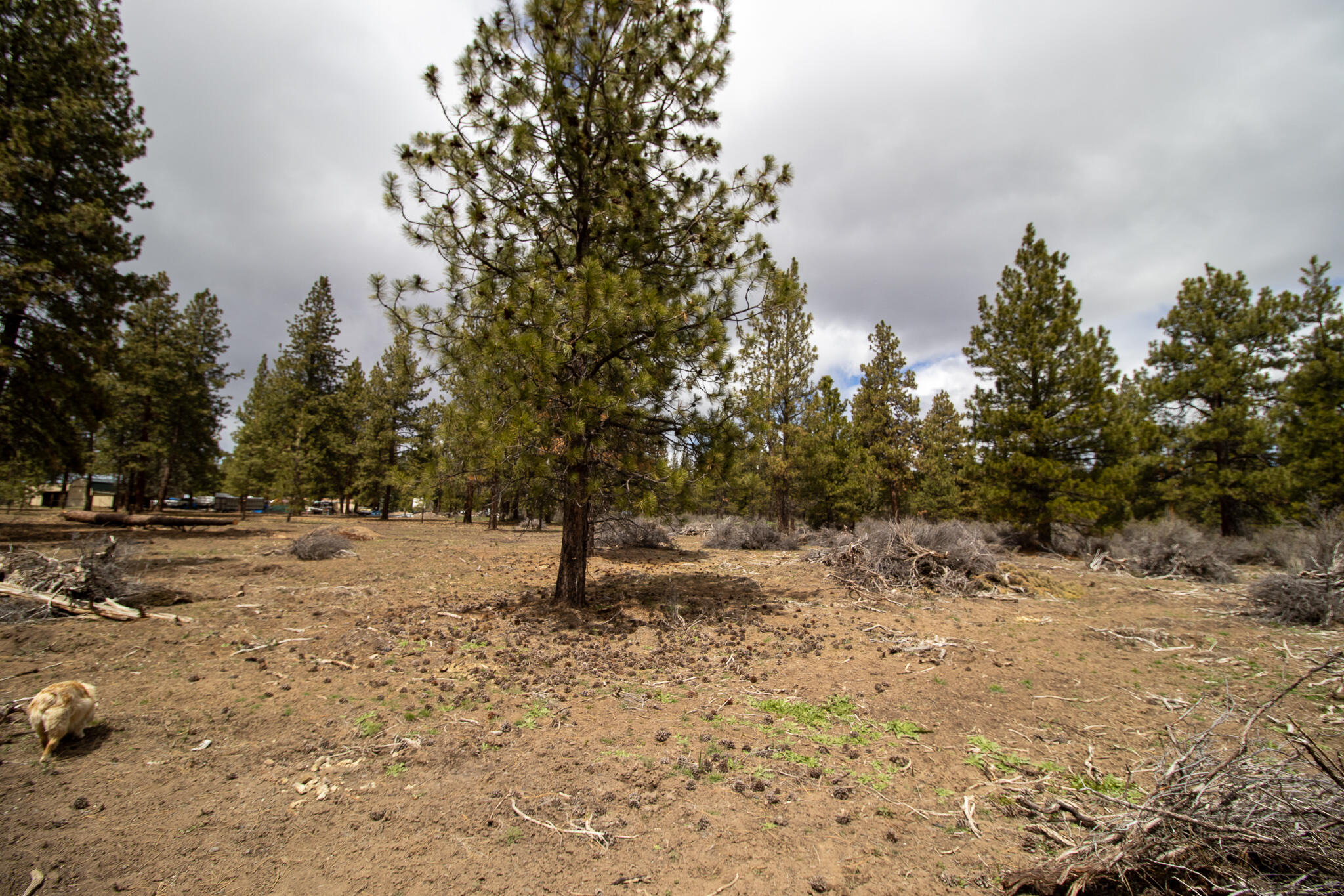 Winema Peninsula - Residential