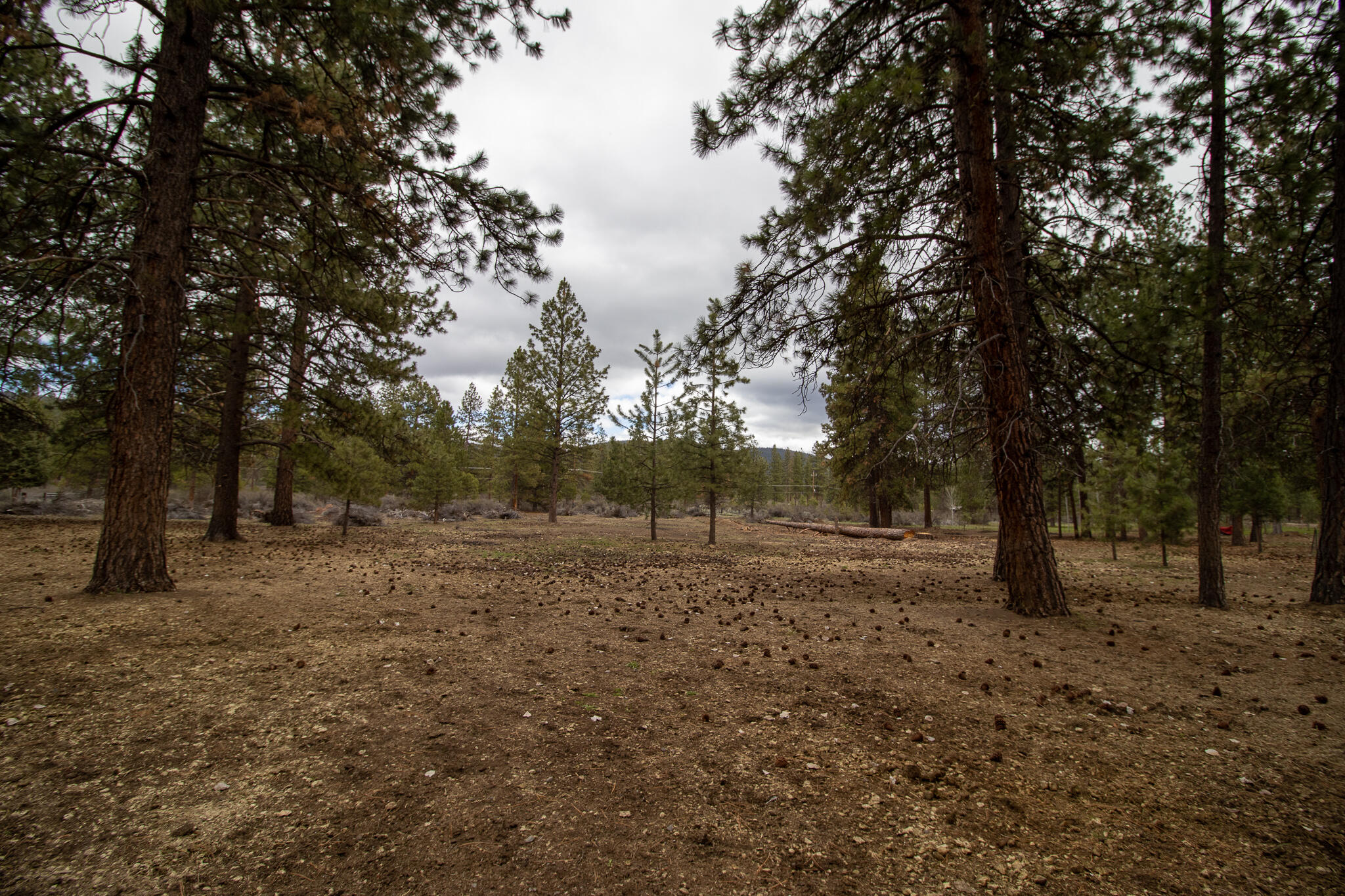 Winema Peninsula - Residential