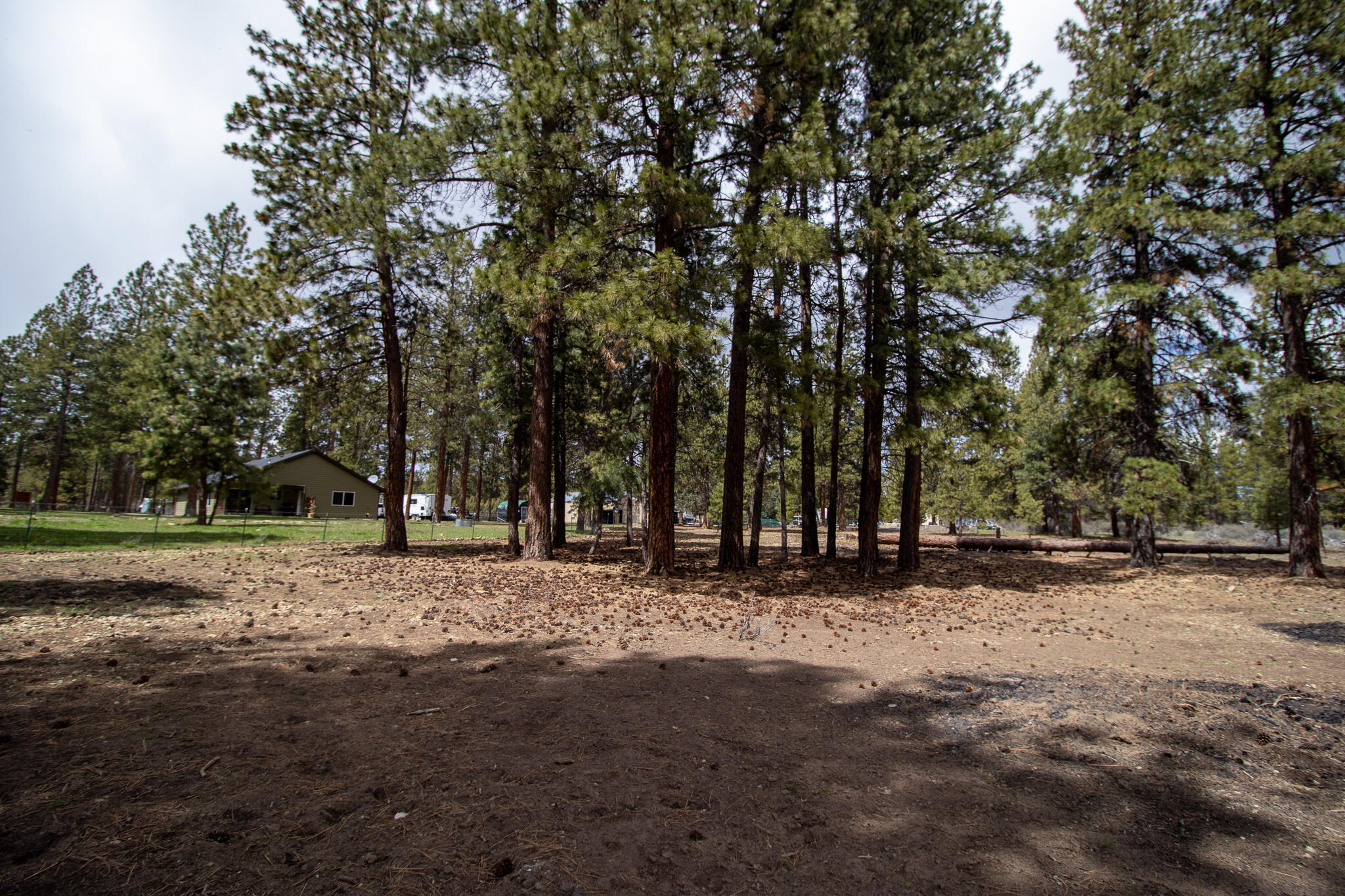 Winema Peninsula - Residential