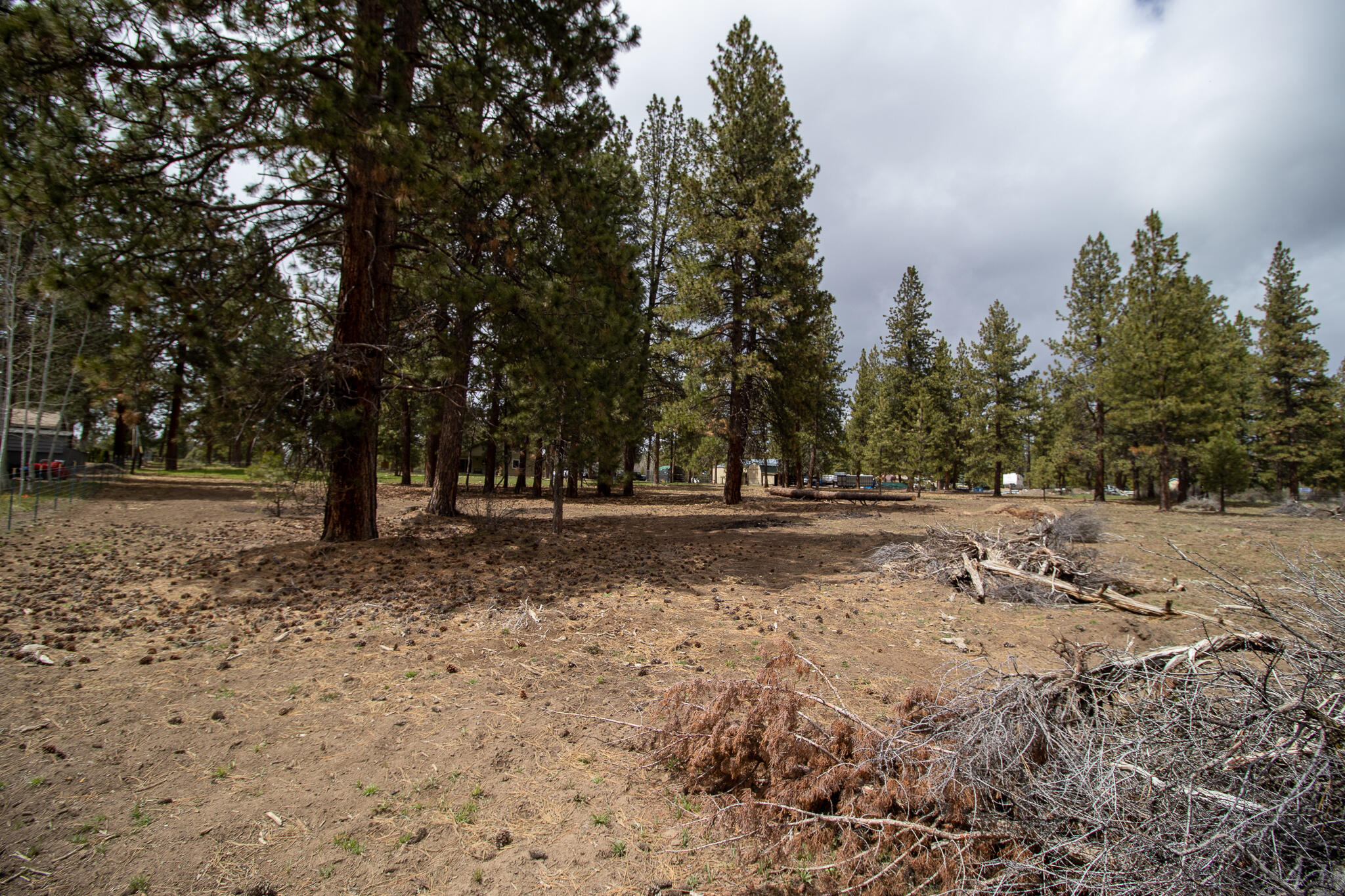 Winema Peninsula - Residential