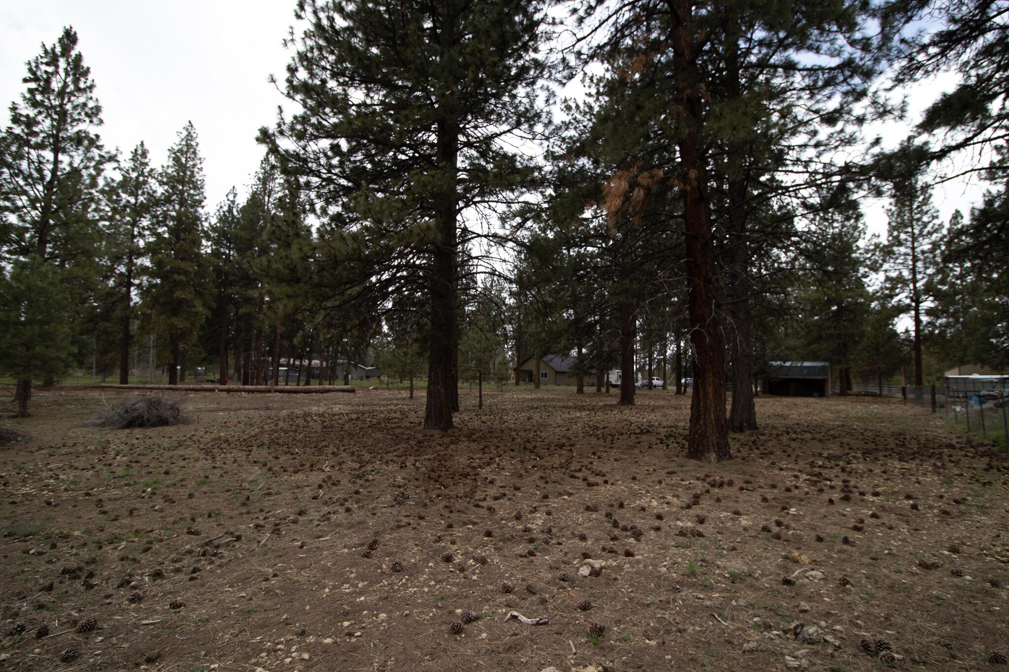 Winema Peninsula - Residential