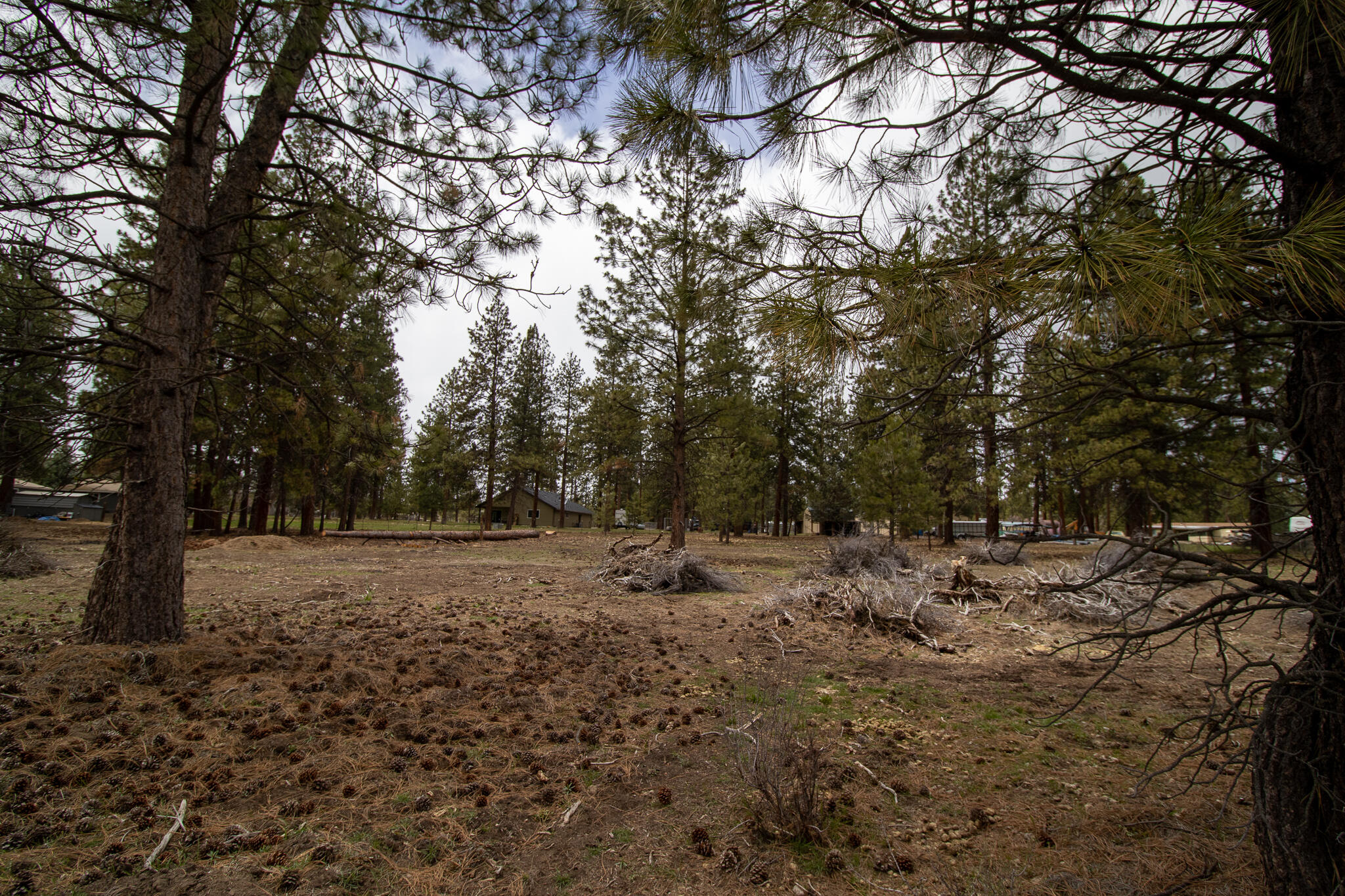 Winema Peninsula - Residential