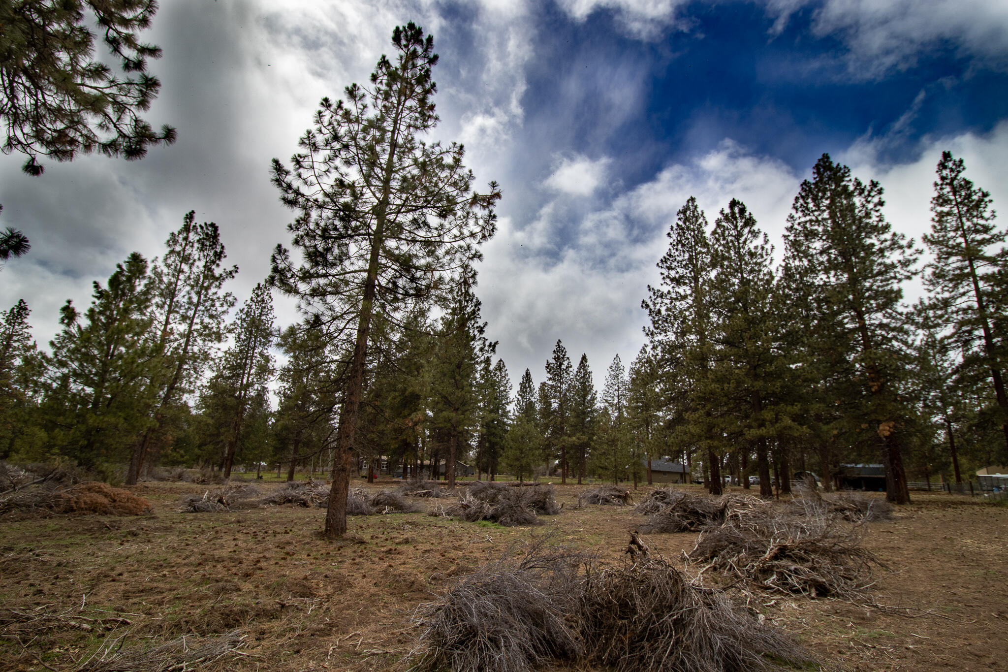 Winema Peninsula - Residential
