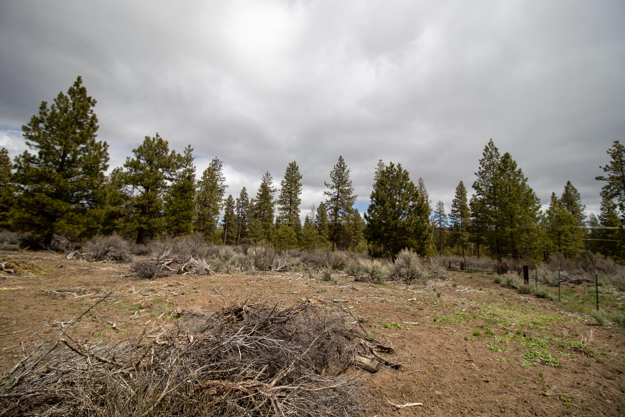 Winema Peninsula - Residential