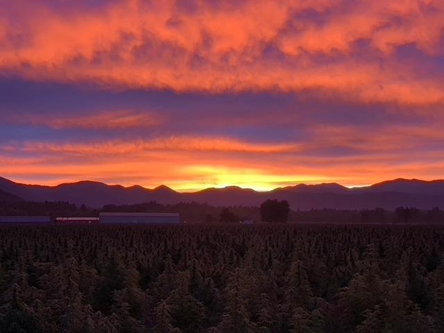 Martin Addition - Land