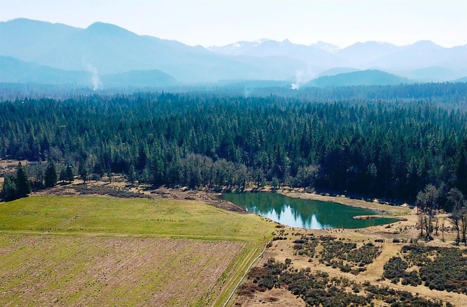 Martin Addition - Land