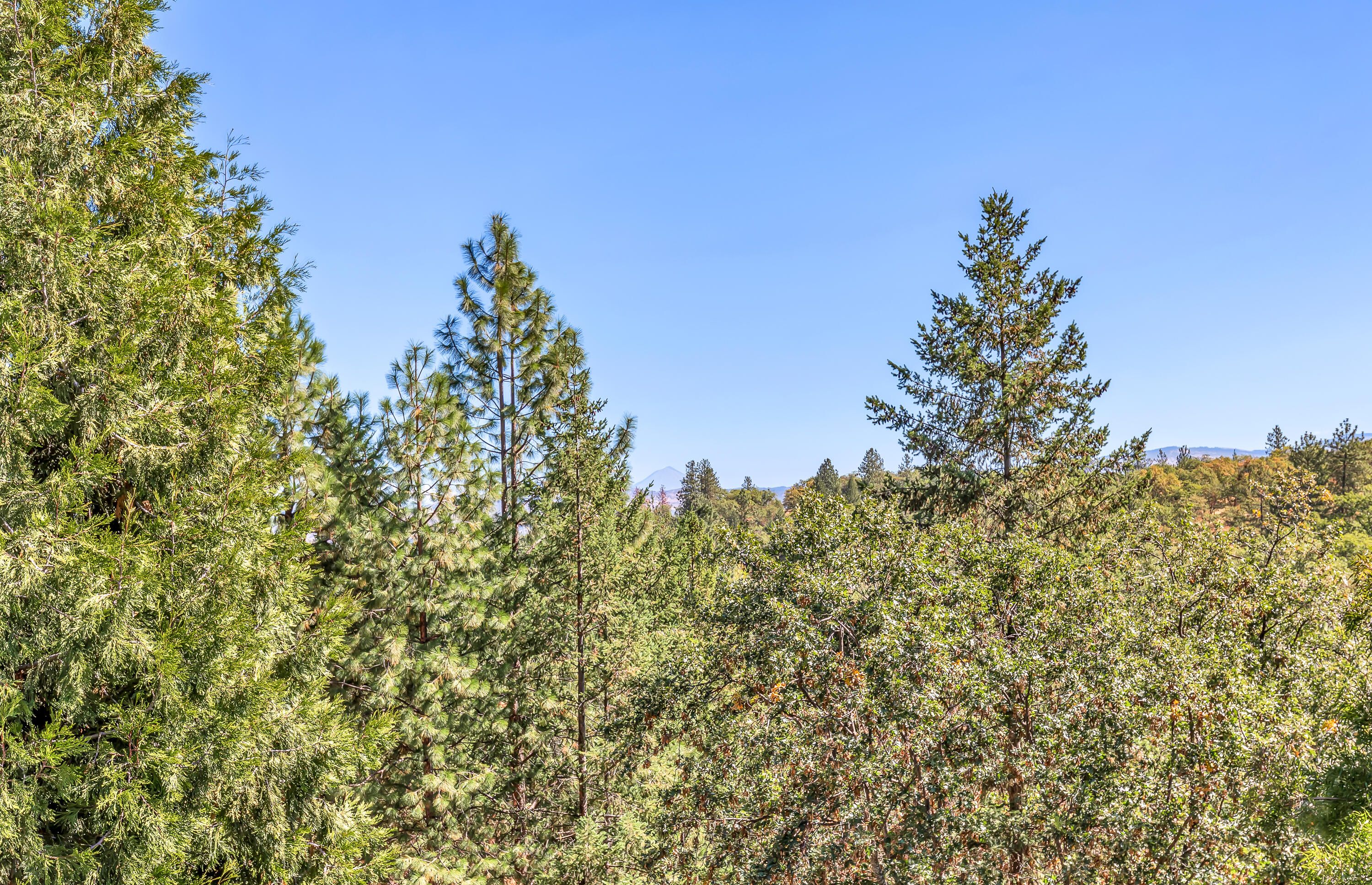 Coachman Hills Subdivision - Residential