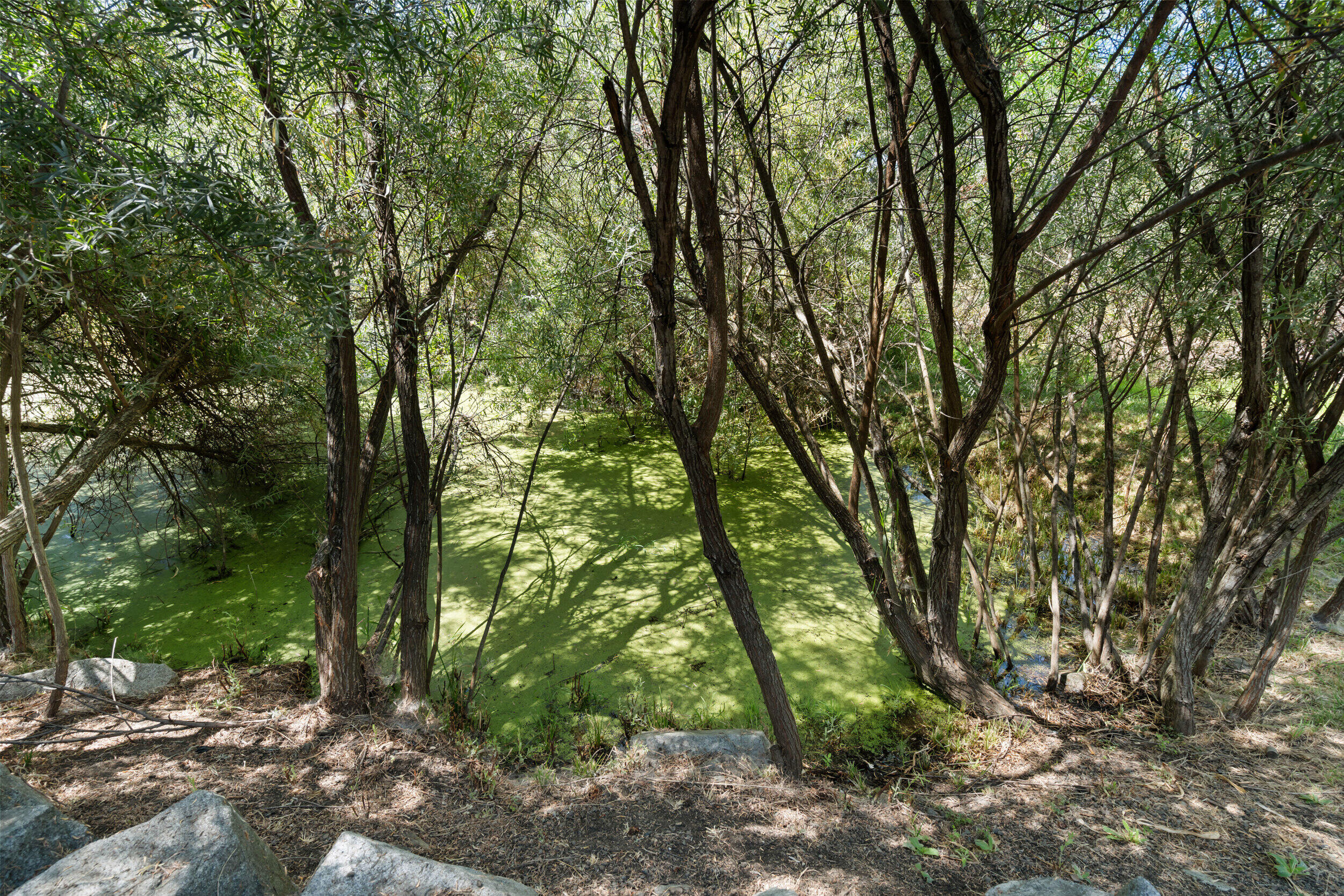 Greenhills Village - Residential