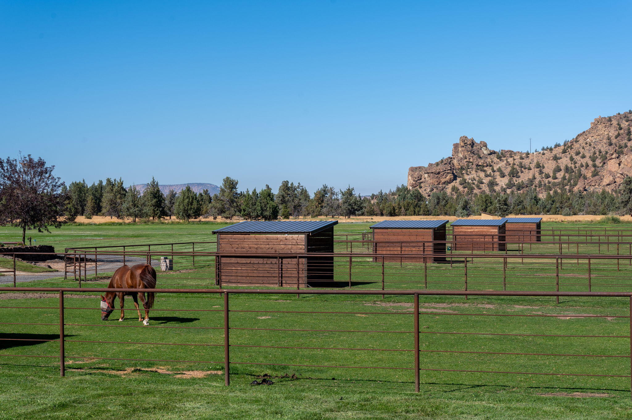 Ranch at the Canyons - Residential