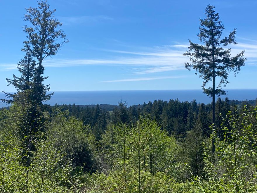 Ready to build! Very private with one-of-a-kind ocean views. Well built gravel road. Septic and Well installed.