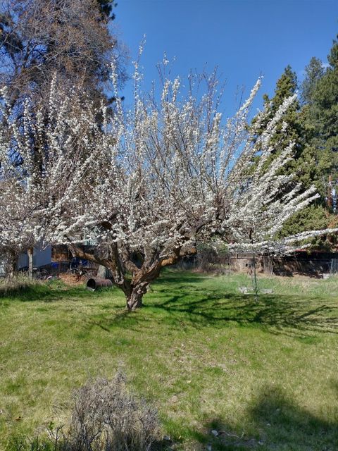 Tiny photo for 2323 NE 8th Street, Bend, OR 97701 (MLS # 220221314)