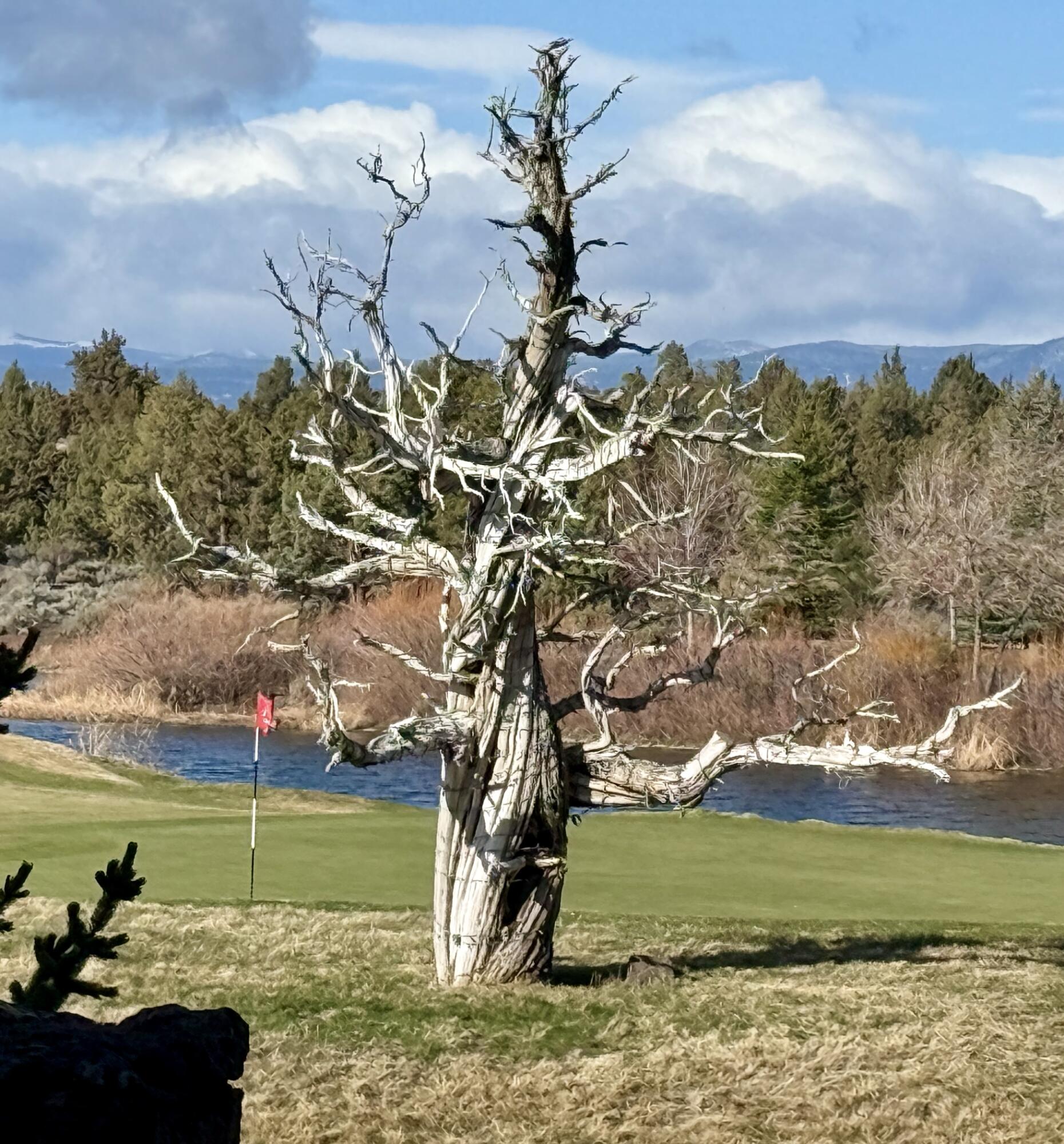 Pronghorn - Residential