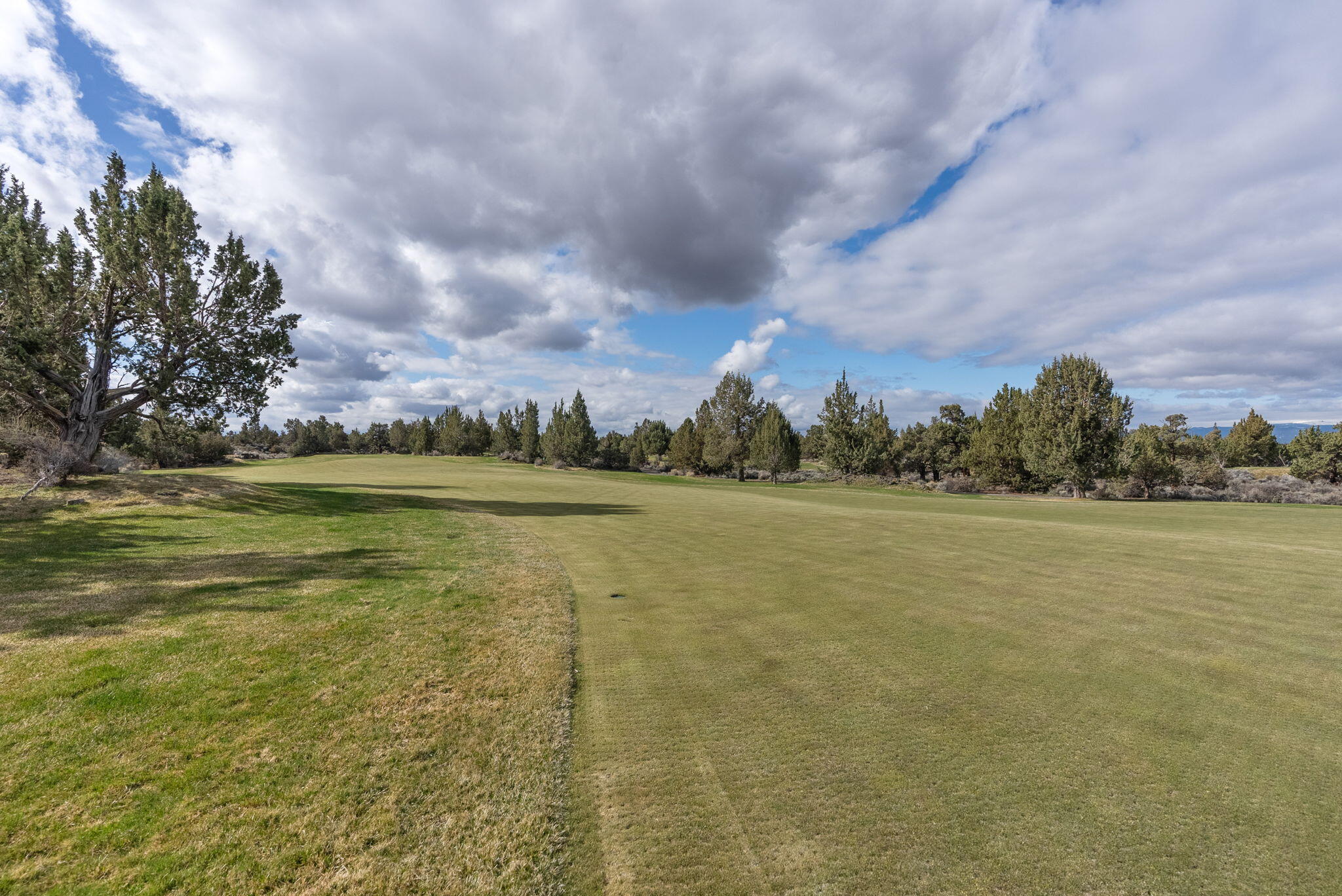 Pronghorn - Residential