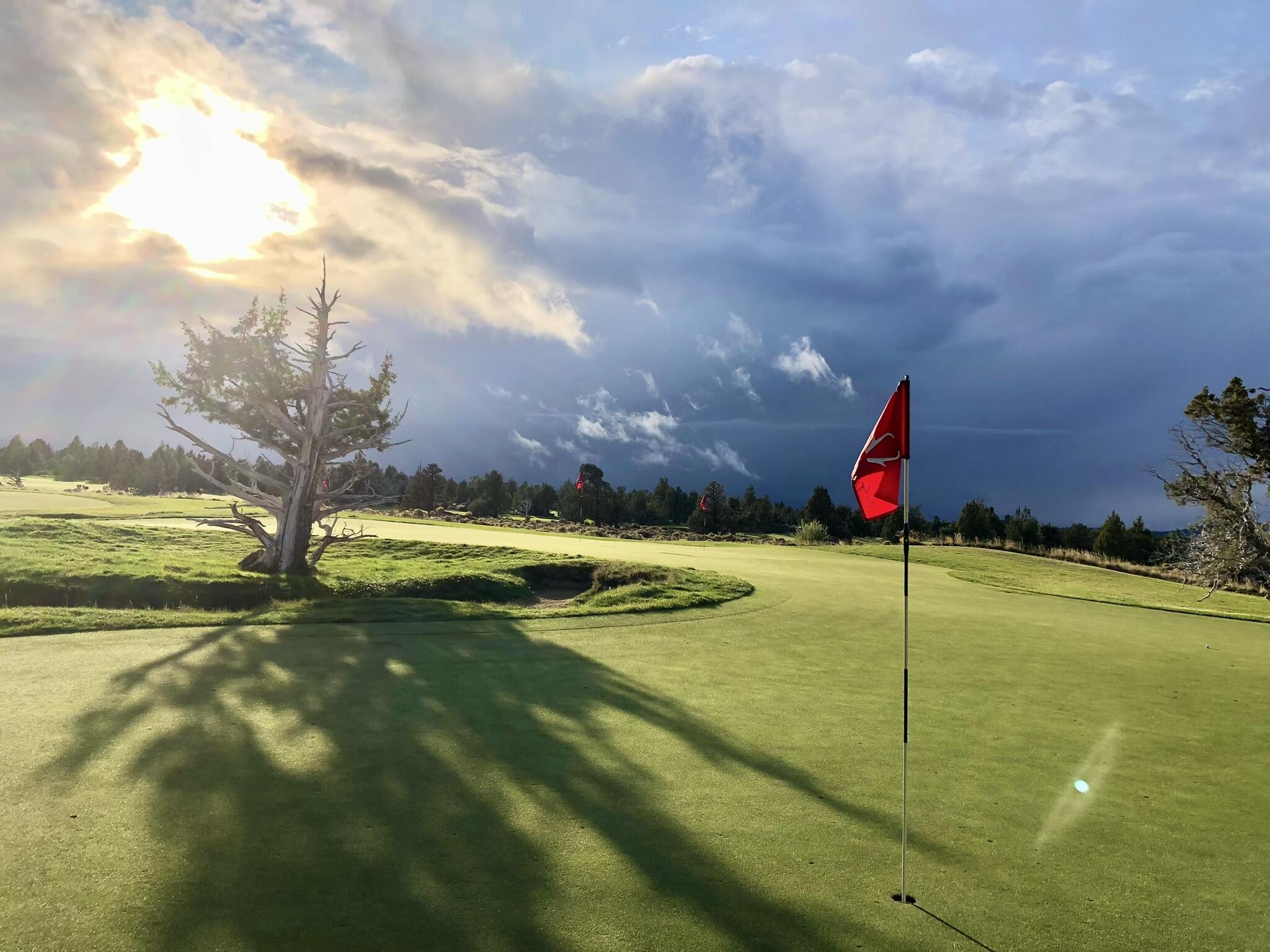 Pronghorn - Residential