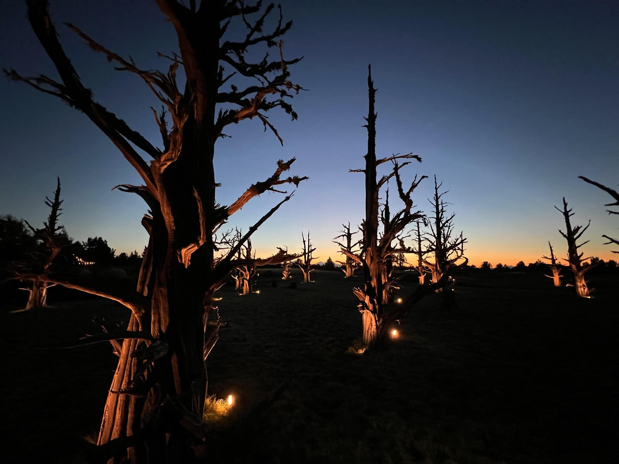 Pronghorn - Residential