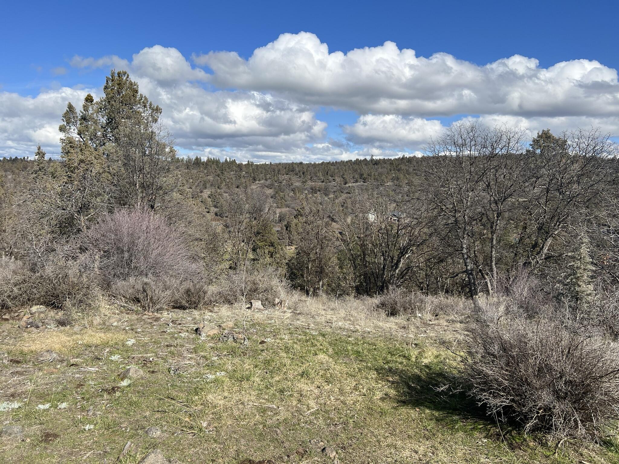 Running YResort - Residential