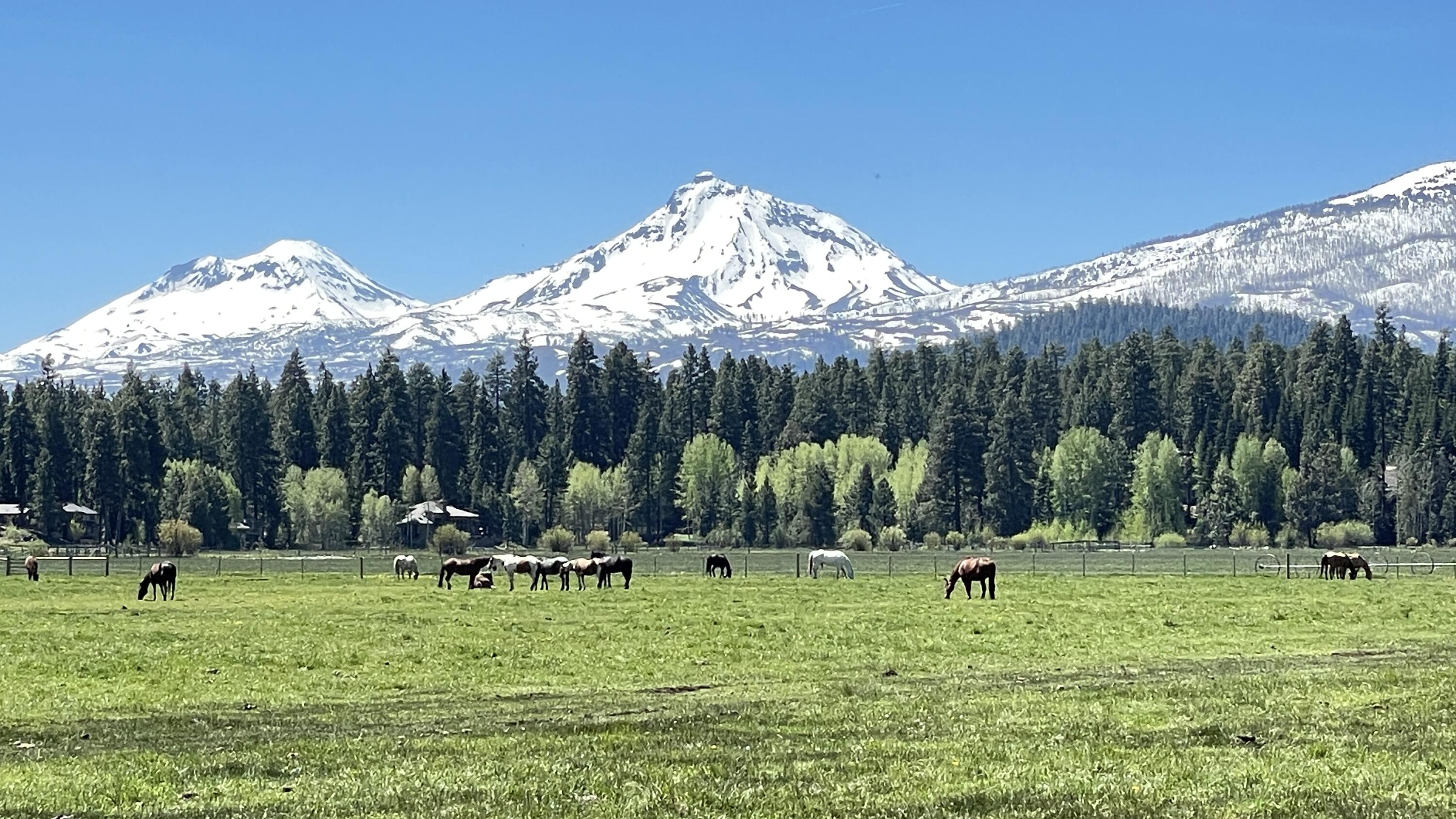 Black Butte Ranch - Residential
