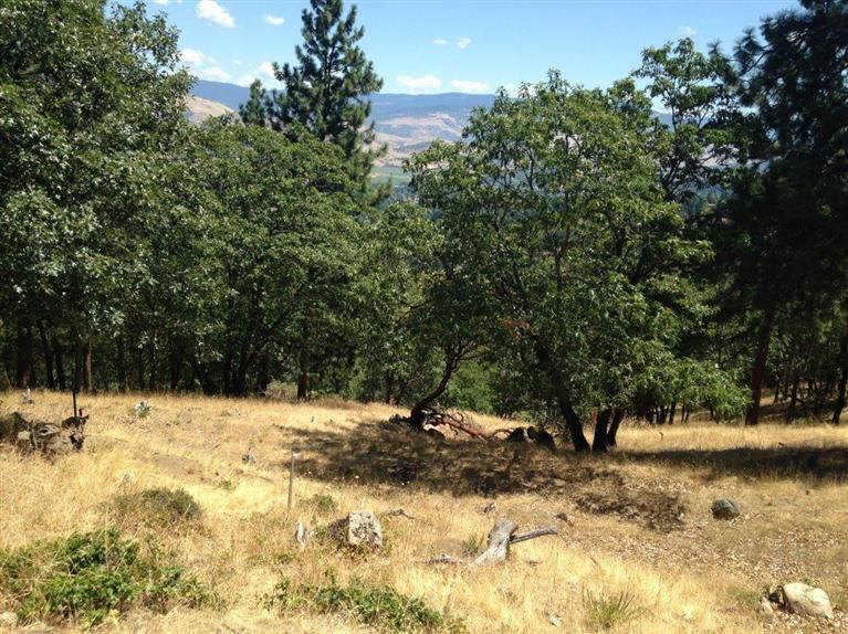 Falling Acorn Estates - Land