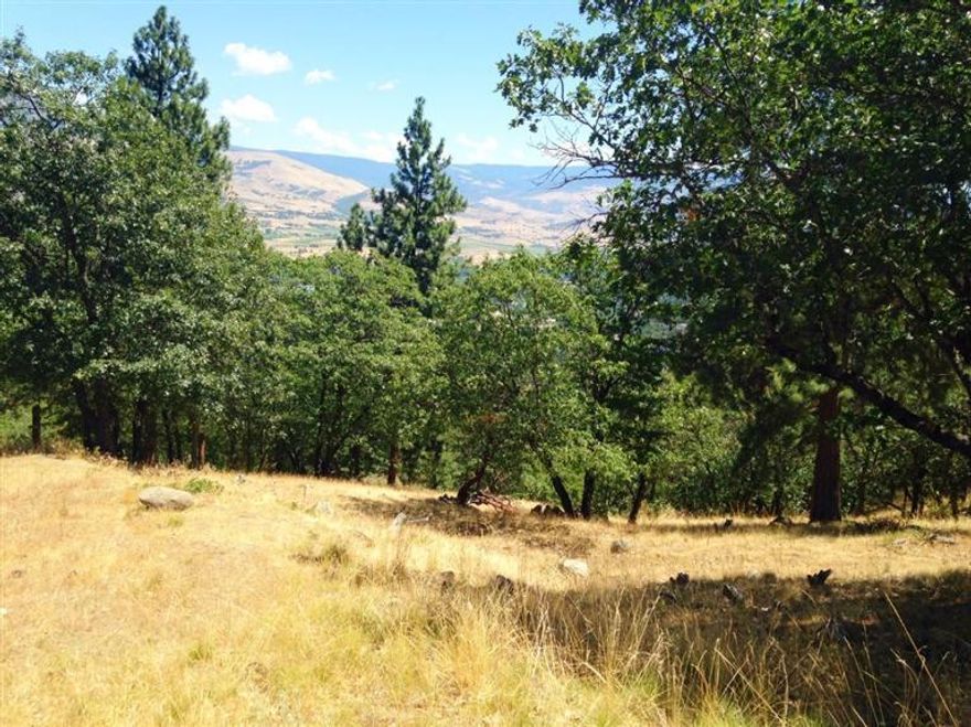 Build your dream home on this half acre view lot. Backed by 4.5 acres of open space with nearby access to hiking/biking trails. Not far from Ashland's renowned Lithia Park & downtown Plaza with it's shops, theaters & restaurants. The tree removal plan approved for building will open up a spacious view. Seller has completed the time intensive planning and permitting process and has obtained the final building permit for a stunning 3600 sq ft, 5 bedroom, 4 ba view home. Construction can begin right away. A reputable local home builder has bid on the plan. The bid features deluxe appointments including the expected large windows, gourmet kitchen, hardwood floors and granite counters. The custom Craftsman style home is professionally designed using the popular great room concept. The main level includes a master suite and office that capture expansive valley views. The lot and plan are not tied to the builder.