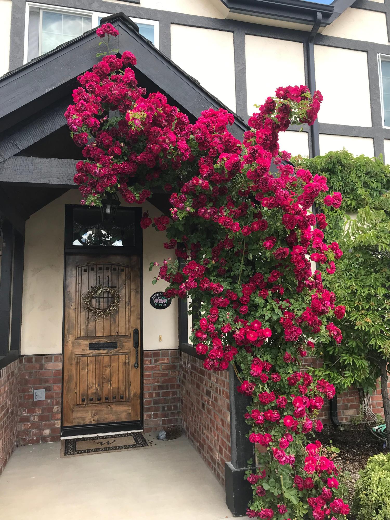 Whispering Pines - Residential