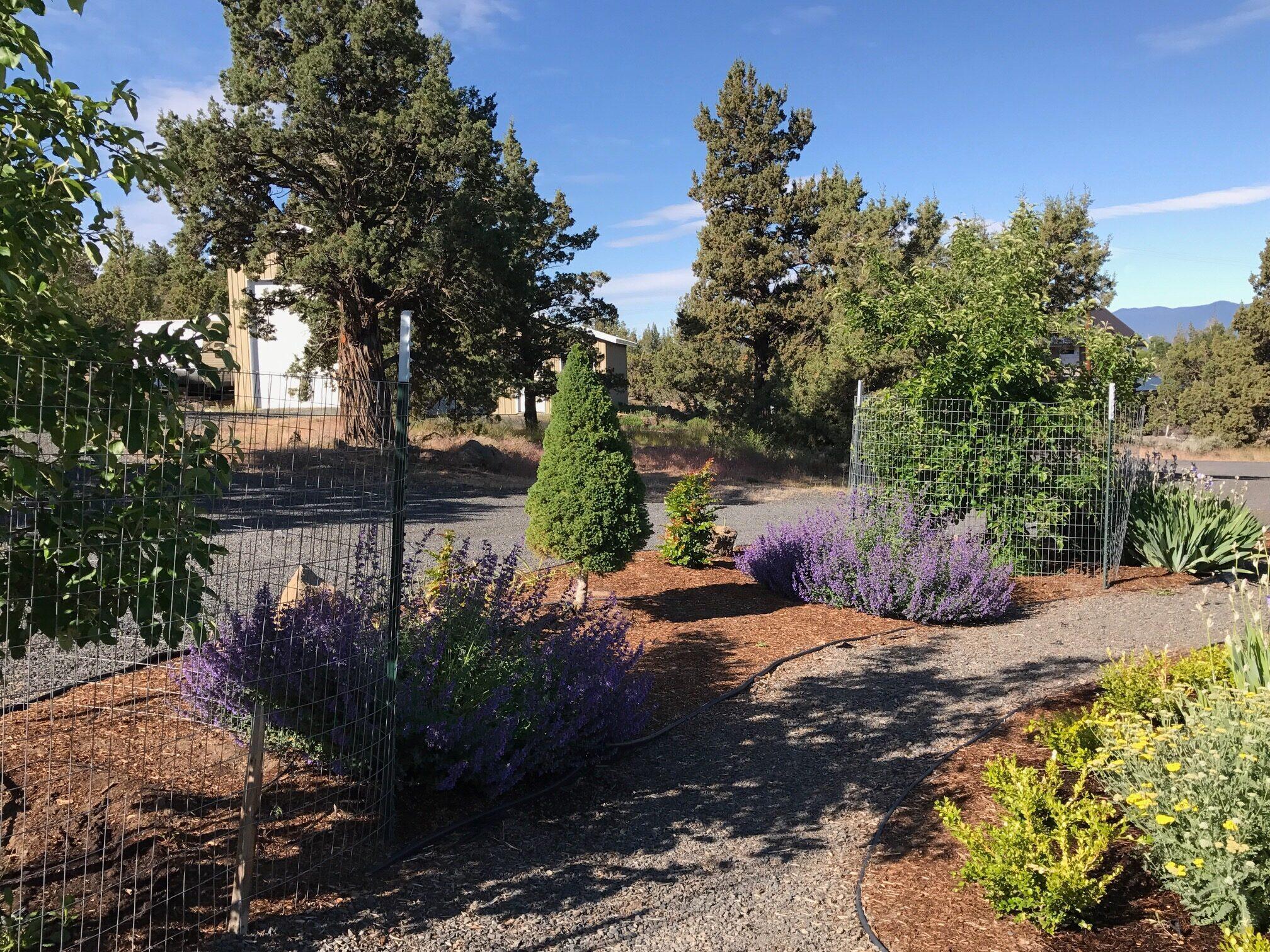 Whispering Pines - Residential