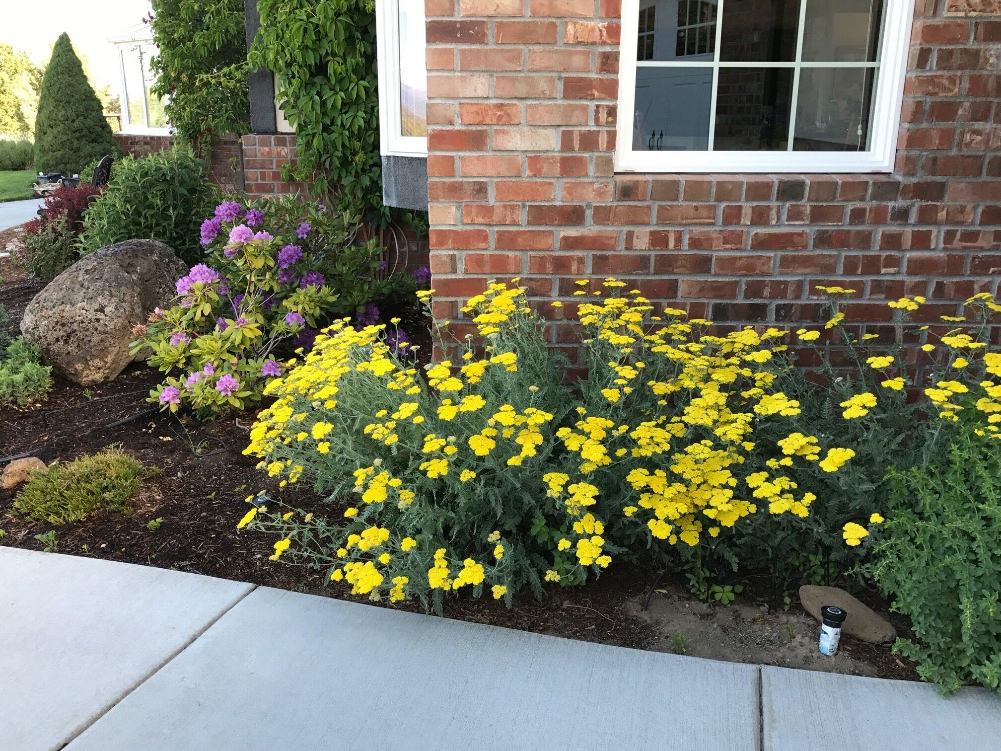 Whispering Pines - Residential