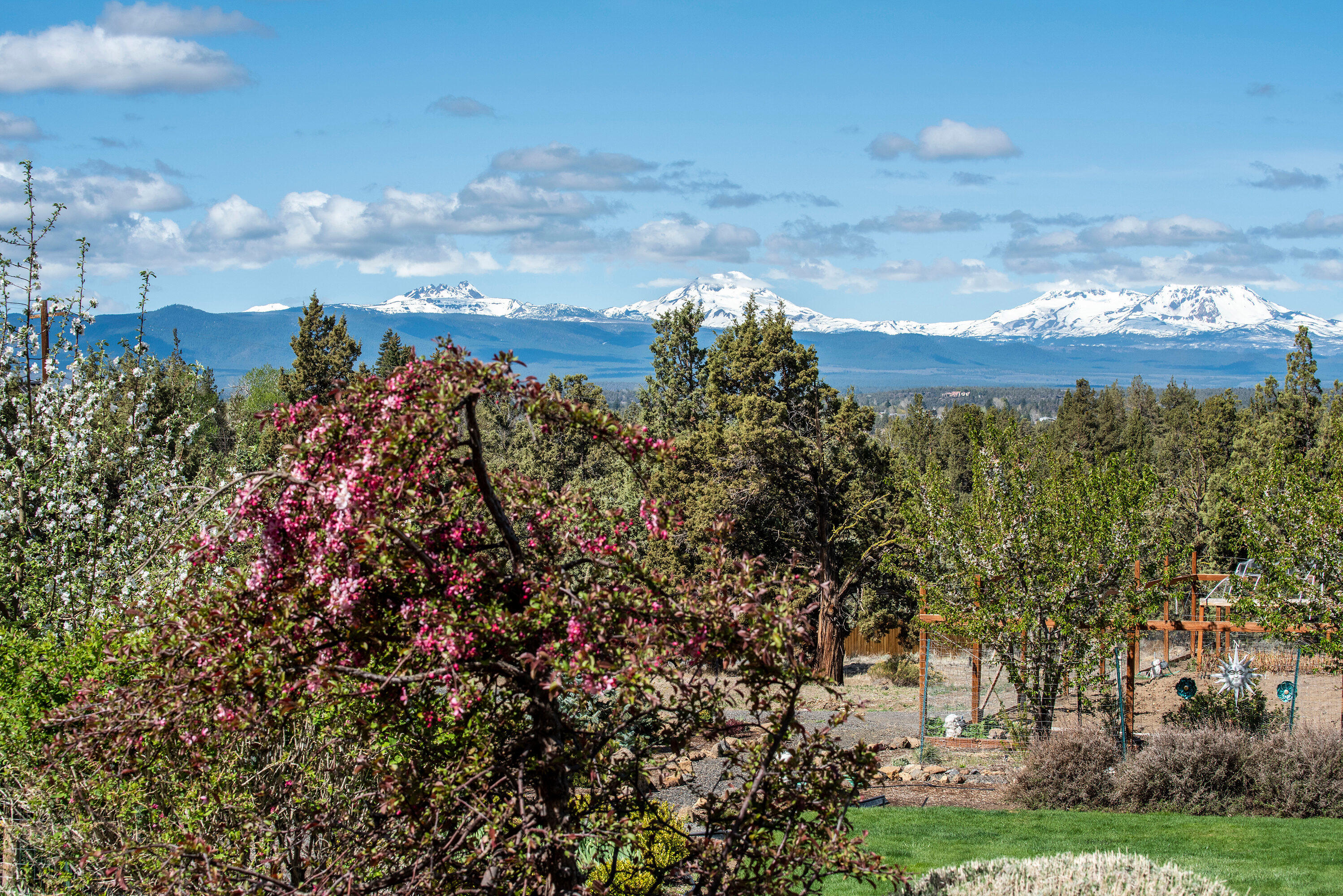 Whispering Pines - Residential