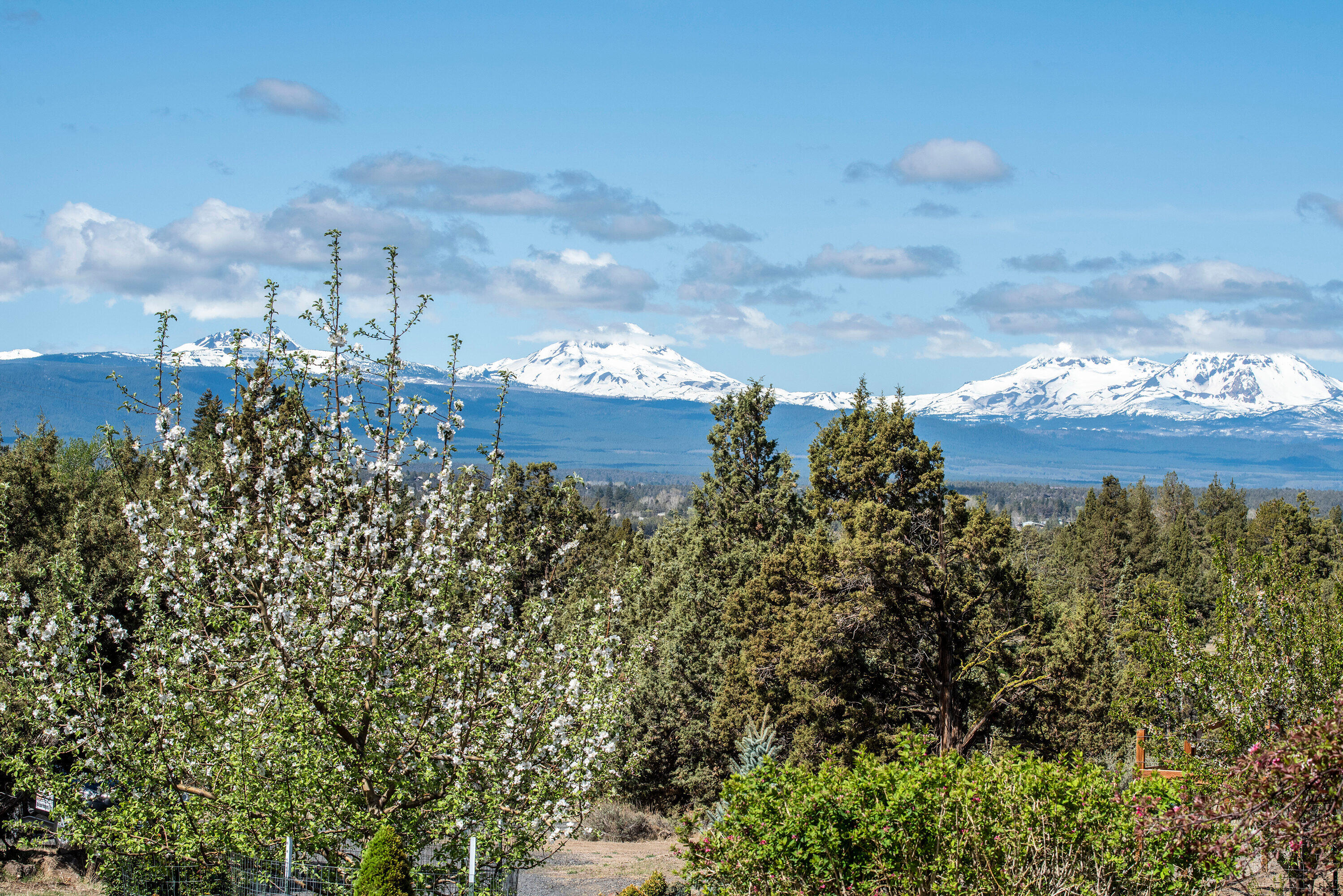 Whispering Pines - Residential