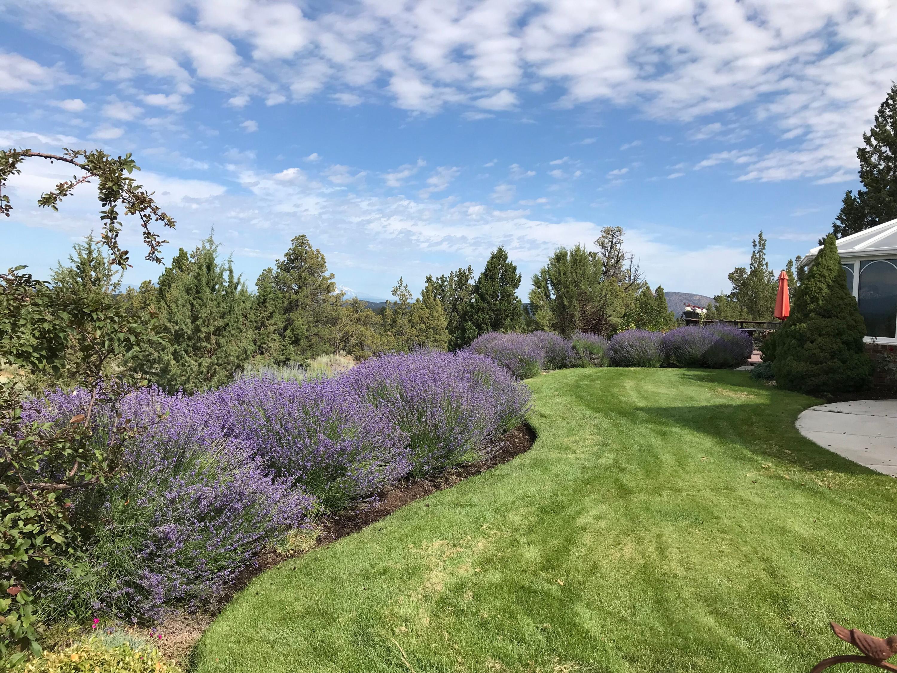 Whispering Pines - Residential