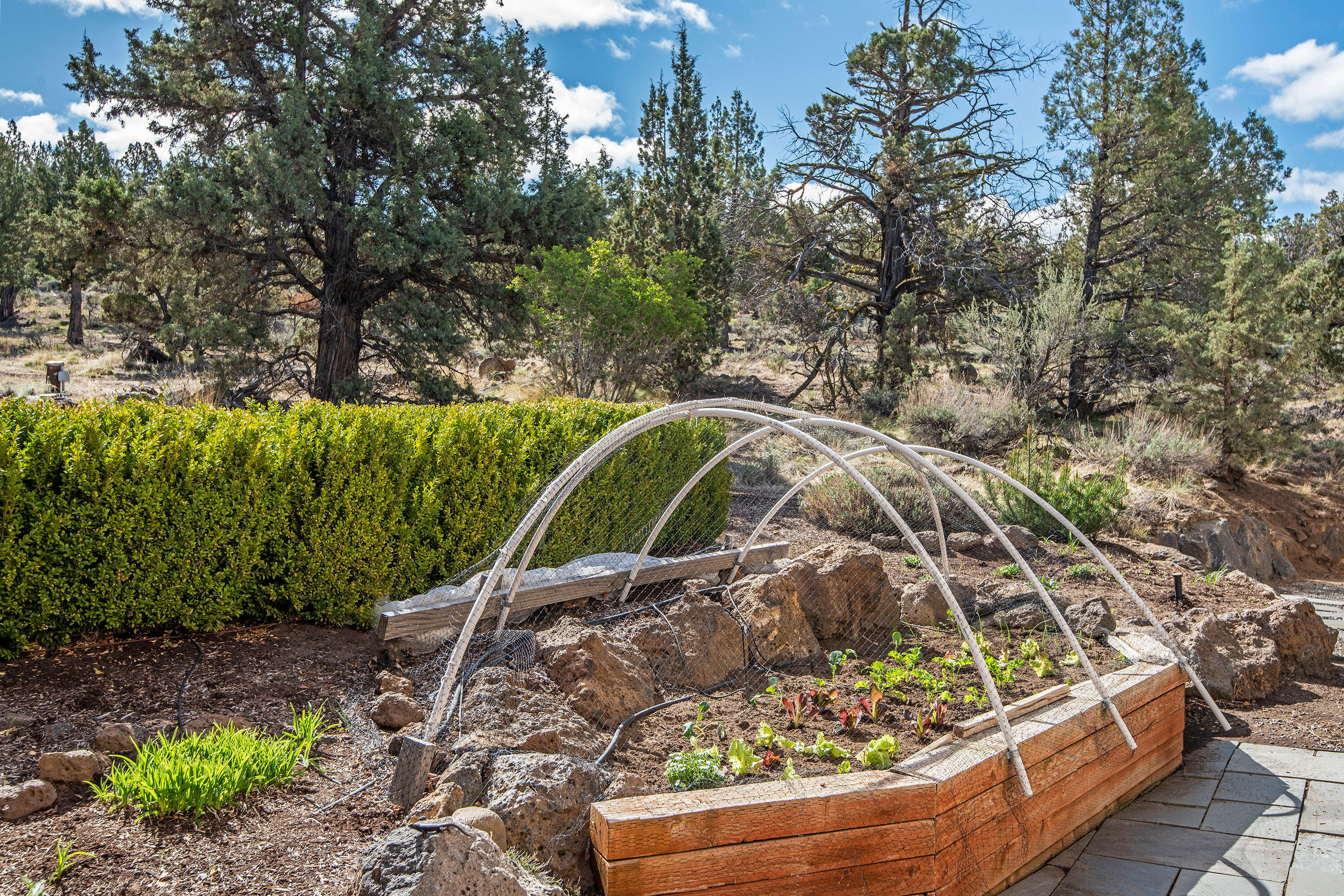 Whispering Pines - Residential