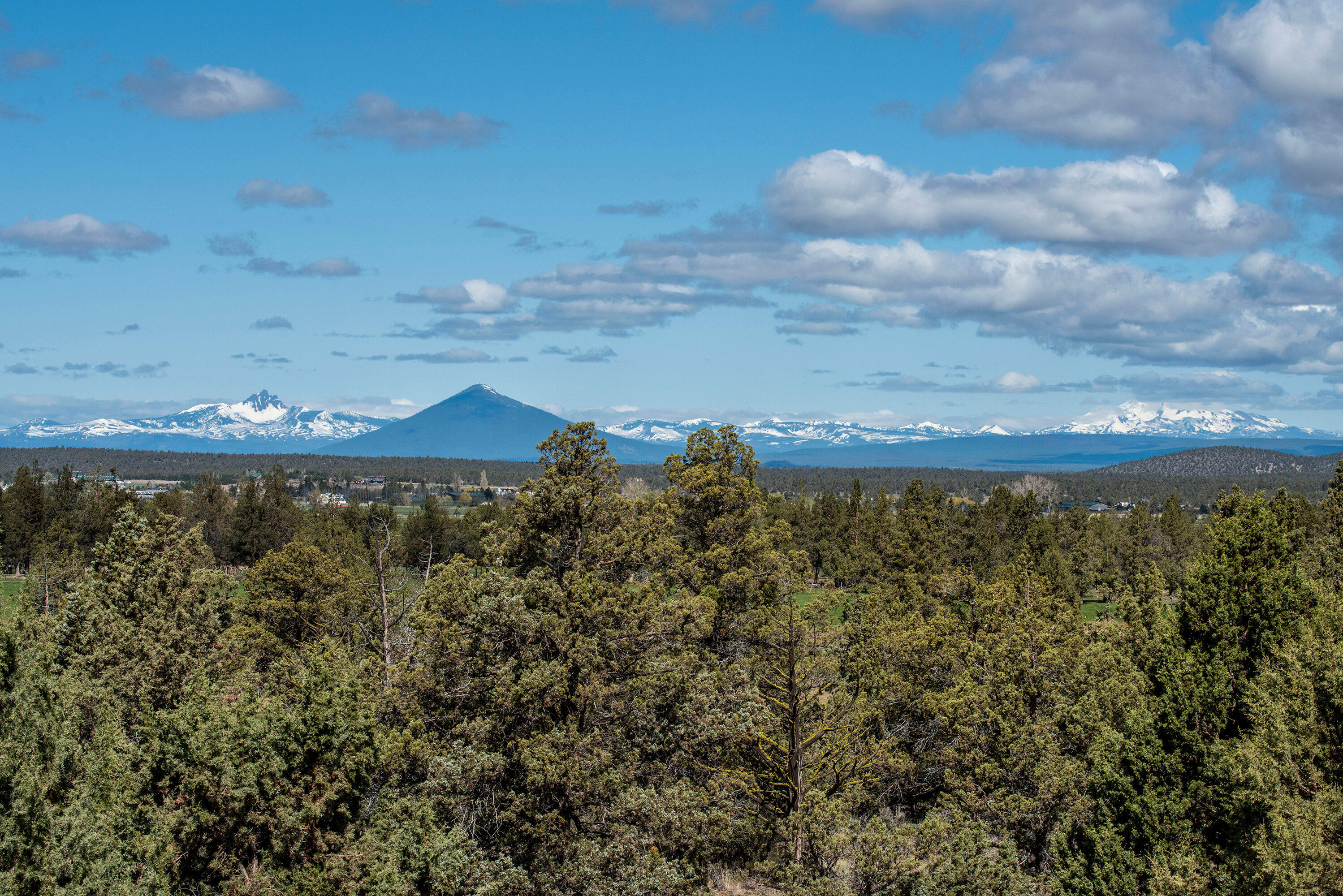 Whispering Pines - Residential