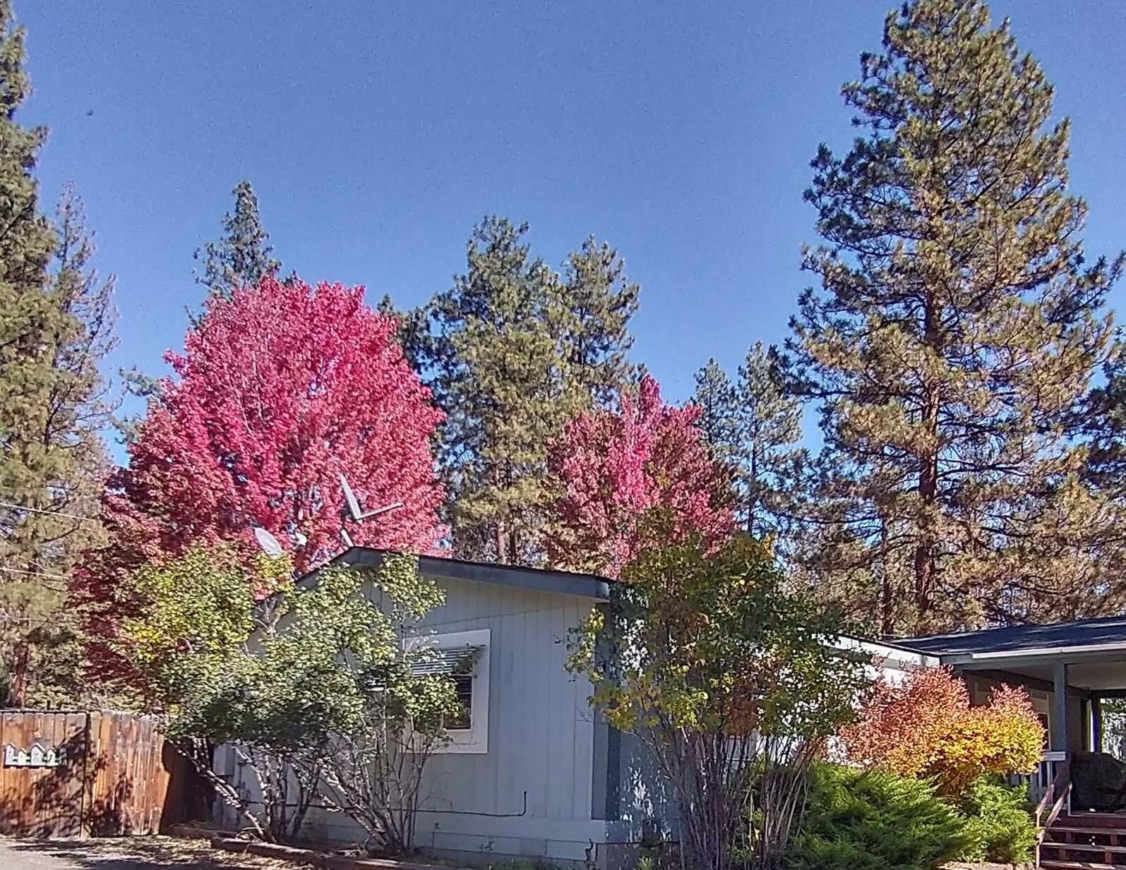 Klamath Falls Forest Estates -Hwy 66 Unit -Plat No. 2 - Residential