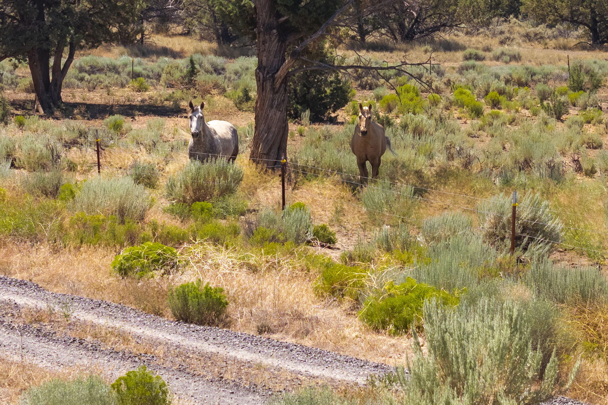 Powell Butte View - Land