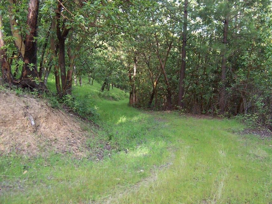 One of a Kind, *Must Tour* Gorgeous Natural Beauty with Amazing Views and Only Minutes from Historic Downtown Jacksonville. Opportunity knocks with this incredible Park-like 15.08 Acres with potential for up to 3 houses* and potentially can be hooked up to city sewer and water* (* Per Seller. Buyer's due diligence.) Build your dream home here with large, mature Douglas Fir, Madrone and Oak Trees spread throughout the property. Enjoy the sparkling seasonal creek that runs through. This nicely cleaned-up property is waiting for you to Start Living the Oregon Dream!