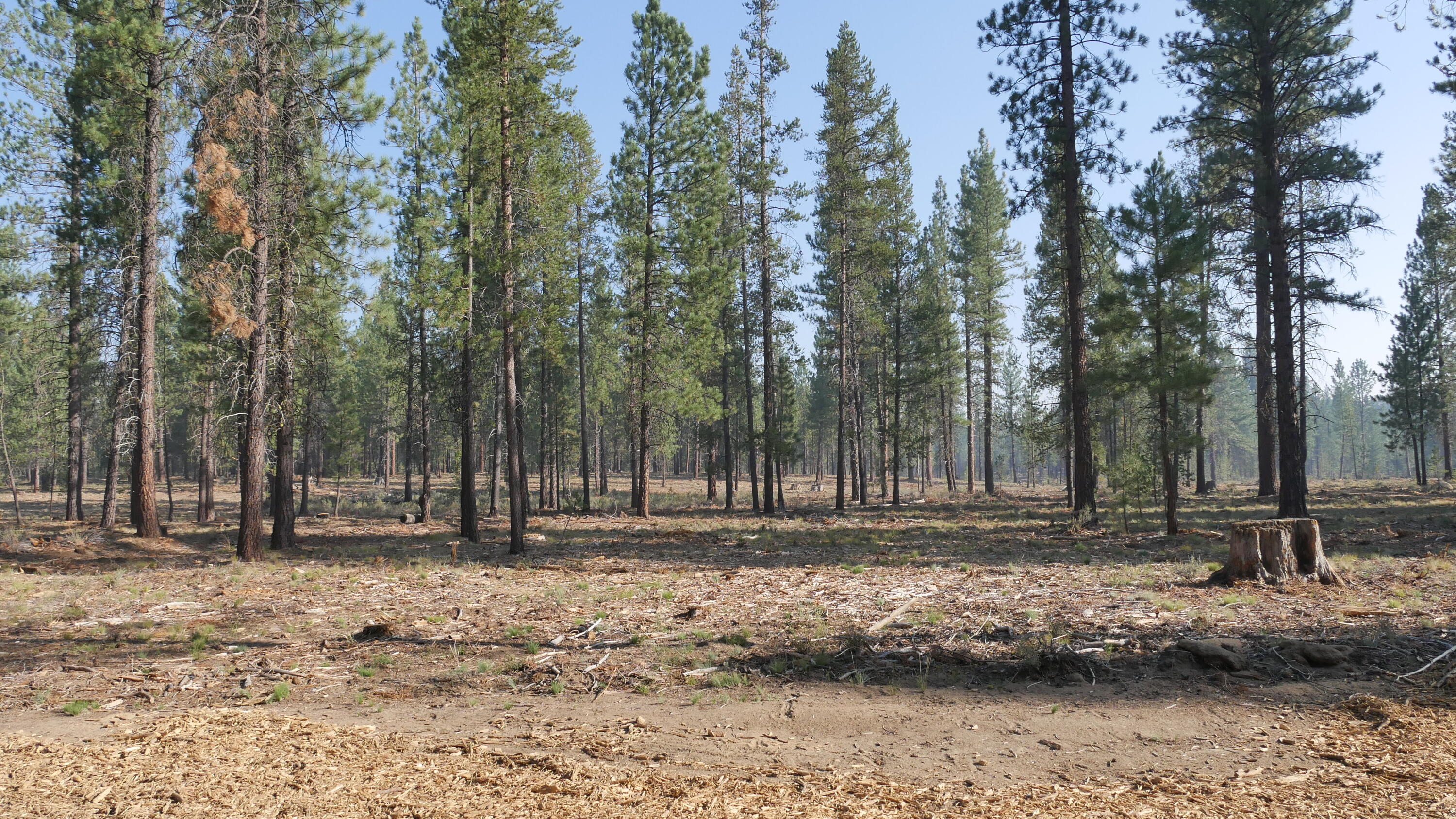 Caldera Springs - Land