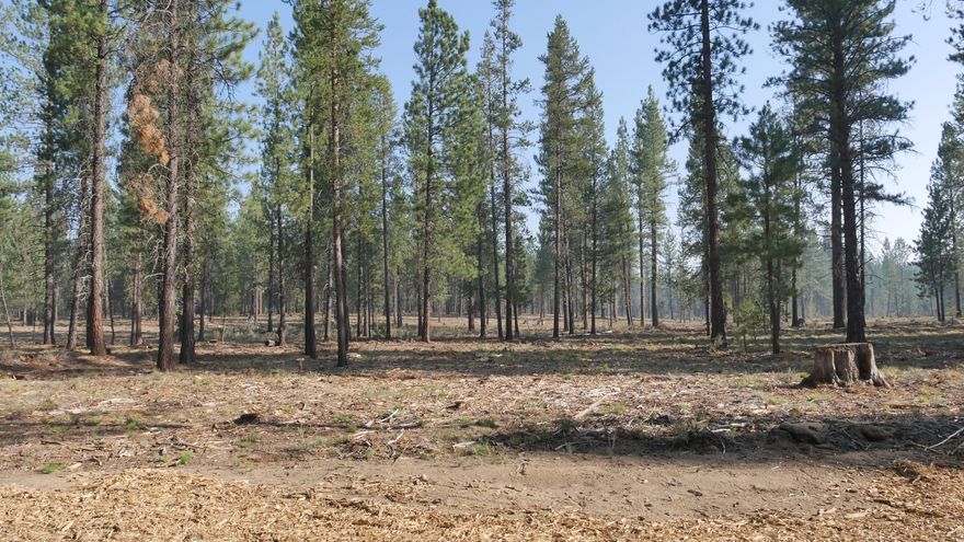 One of the most coveted communities in Central Oregon, the Mirror Rock neighborhood is the first new neighborhood in Caldera Springs since 2007. The expansion of Caldera Springs also includes planned amenities such as a new pool with water slide and family game room. A park featuring pickleball courts, climbing and play structures, small and large dog parks, along with miles of new paved and soft trails that connect to existing pathways and trails throughout Caldera Springs and Sunriver. Homeowners will also have access to Caldera Links, and the popular Sunriver Resort facilities. Taxes are not included. Taxes will be determined after final recorded plat and appointed assessor's parcel number.