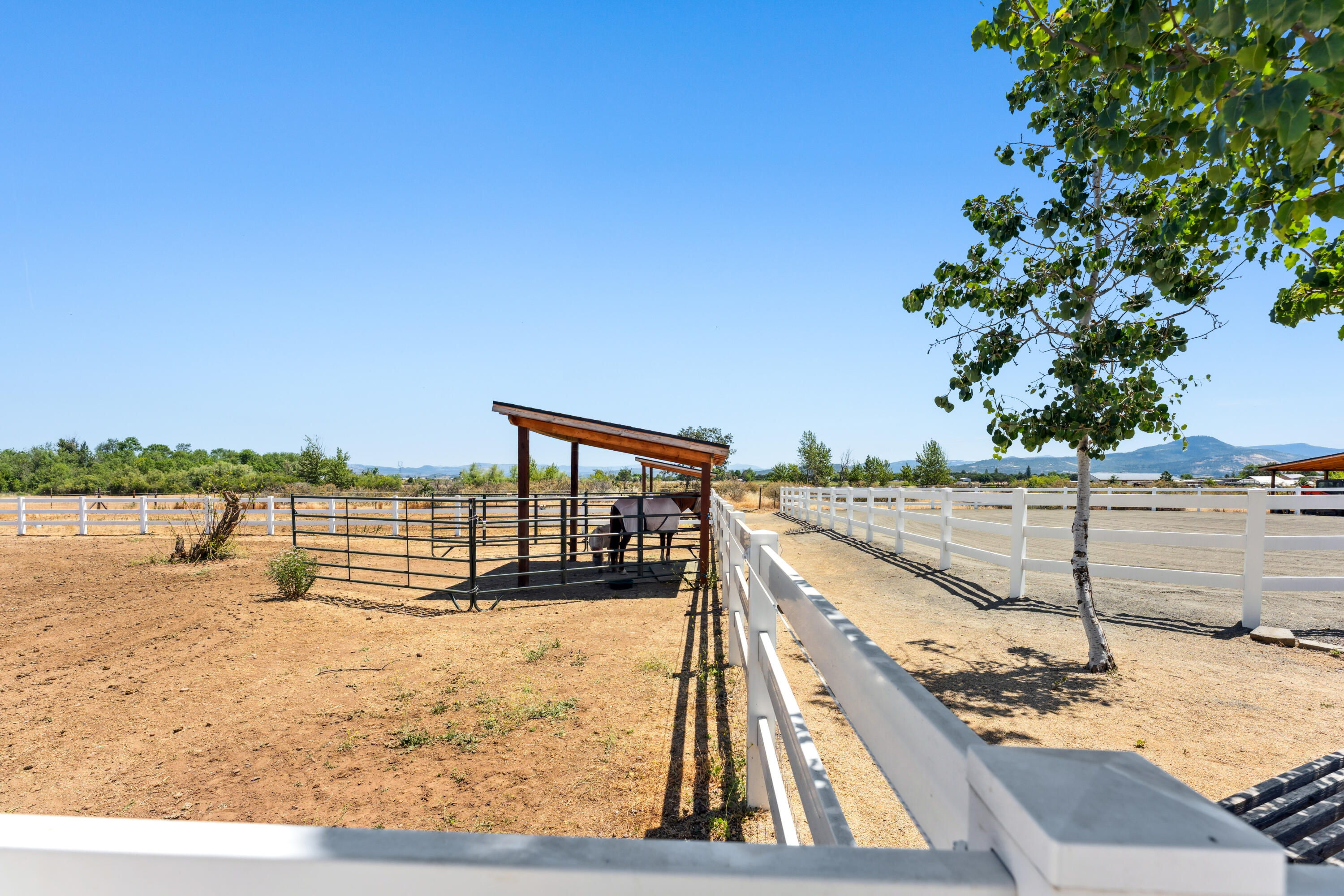 Rogue River Irrigated Orchard Lands - Residential