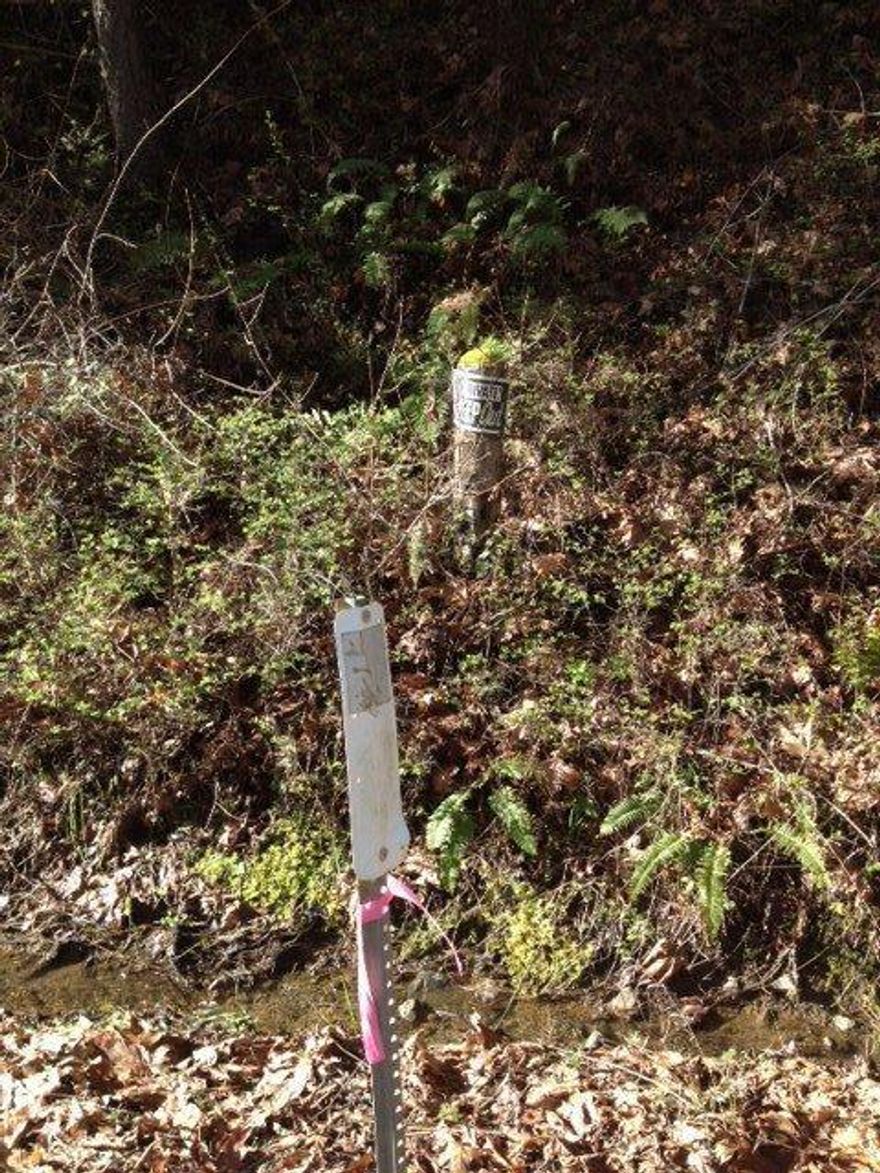 Good recreational piece of property with madrone and some conifer. Sardine Creek is right across the street. Property is located a few miles out of Gold Hill and not far from Rogue River. Seller will sell this and 3257 Sardine Creek Road across road for $145,000. Purchaser to do due diligence about home-site possibility.