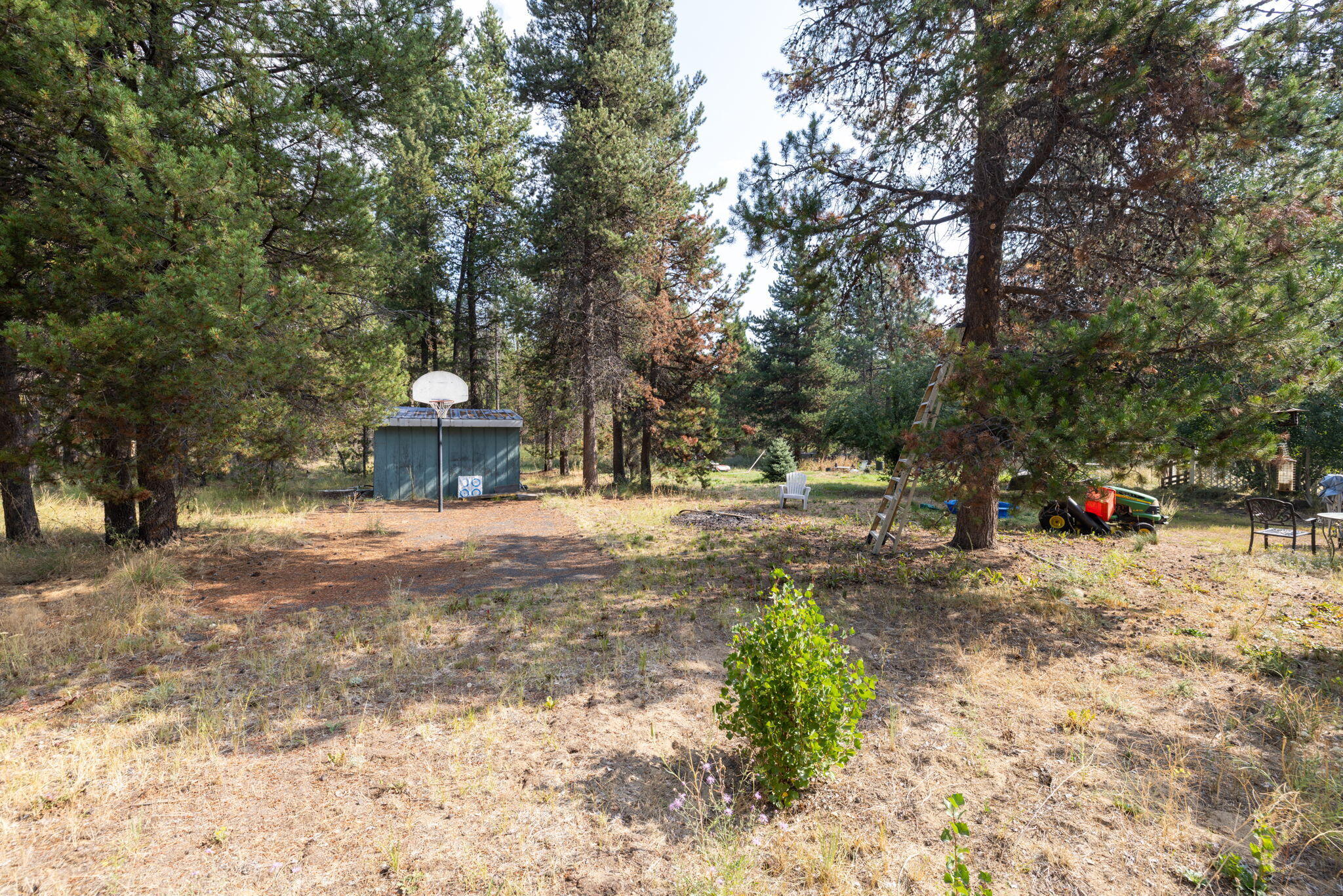 Tall Pines - Residential