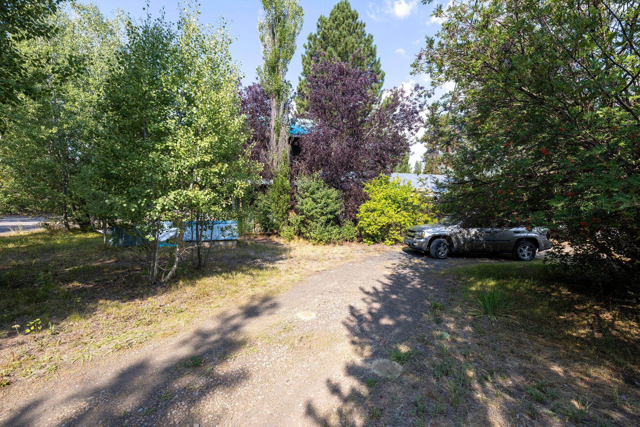 Tall Pines - Residential