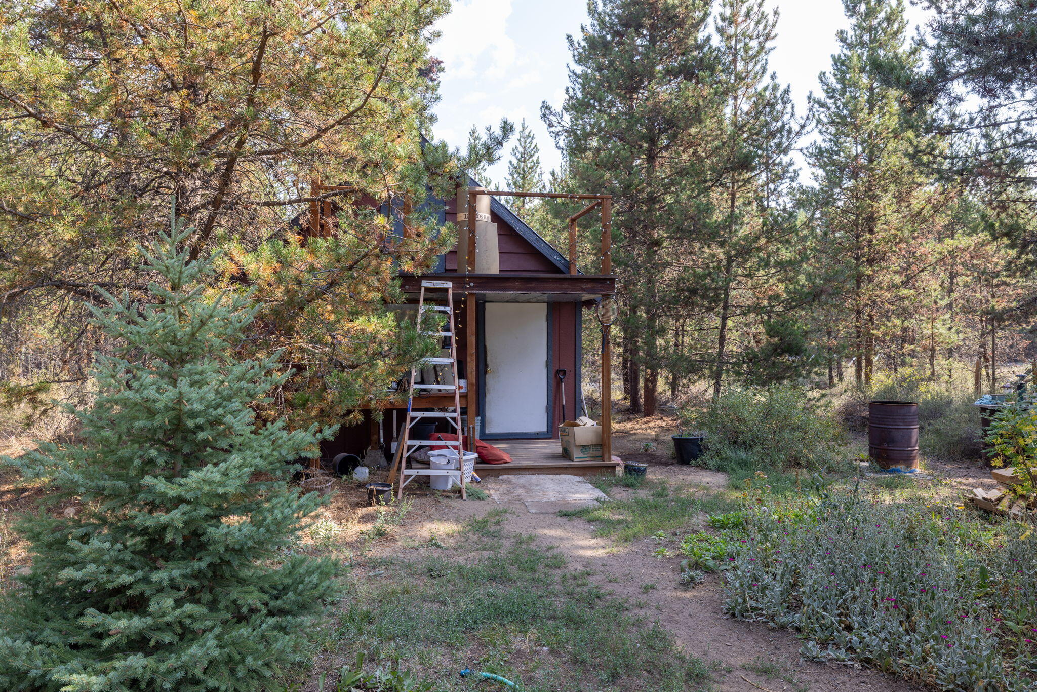 Tall Pines - Residential