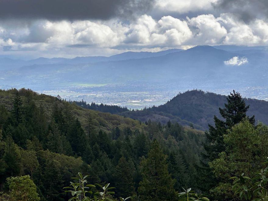 Discover a rare opportunity to own 163± acres of  Forest land, just 4 miles from the charming town of Jacksonville, Oregon. This expansive parcel offers breathtaking views of the Rogue Valley from its main ridge top, providing an idyllic setting for those seeking privacy, natural beauty, and convenient access to nearby amenities. Bordered by federal land and City of Jacksonville property, this land is a haven for outdoor enthusiasts and wildlife alike.