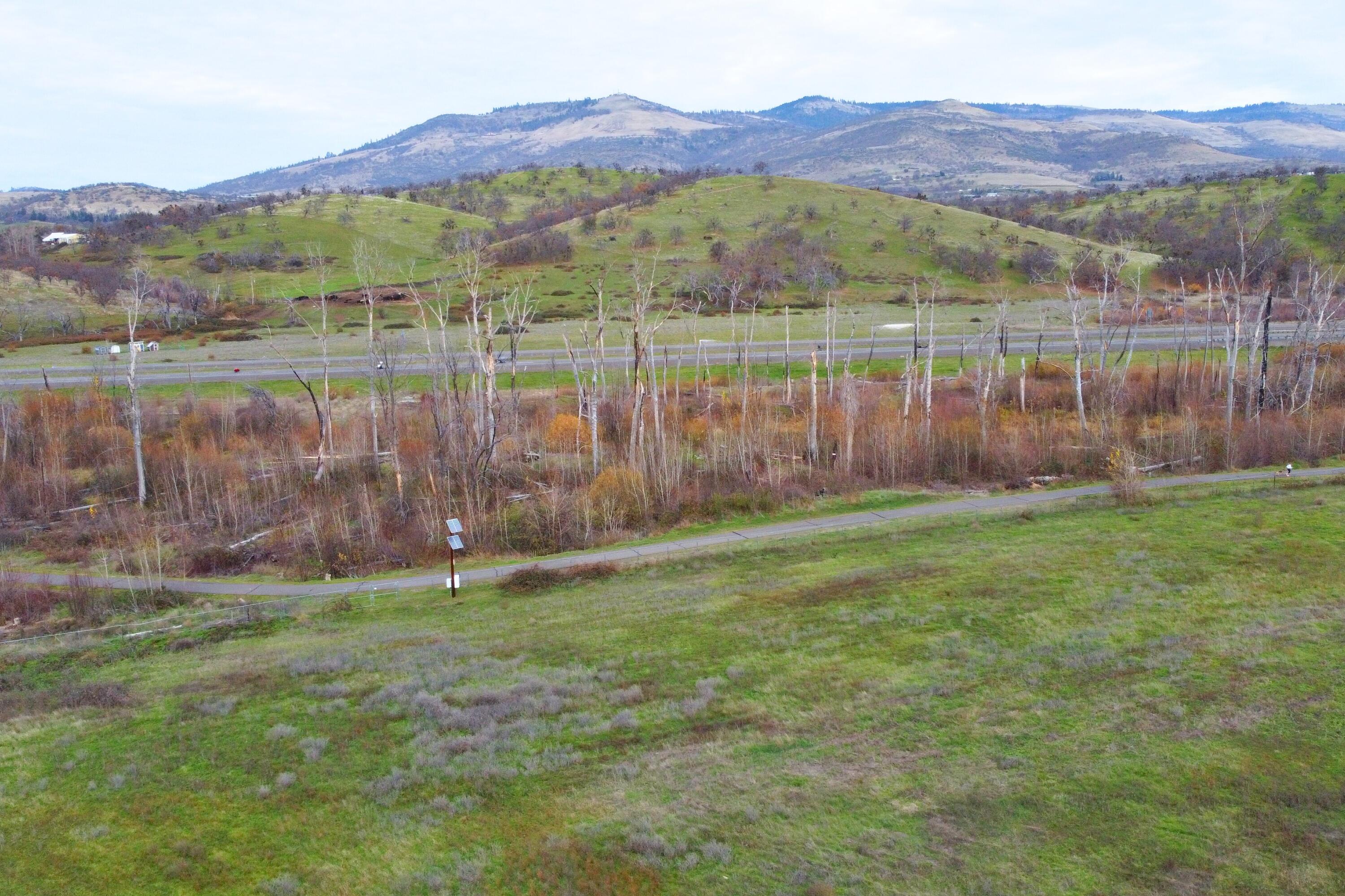 Greenwood Estates - Residential