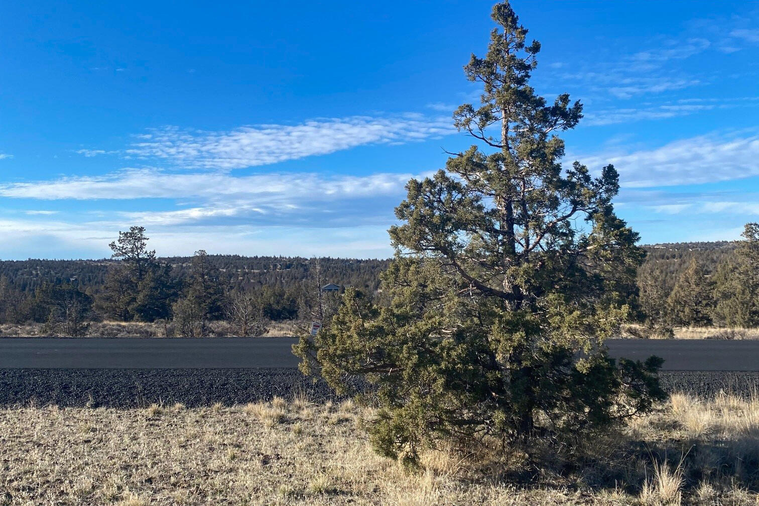 Longhorn Ridge - Land
